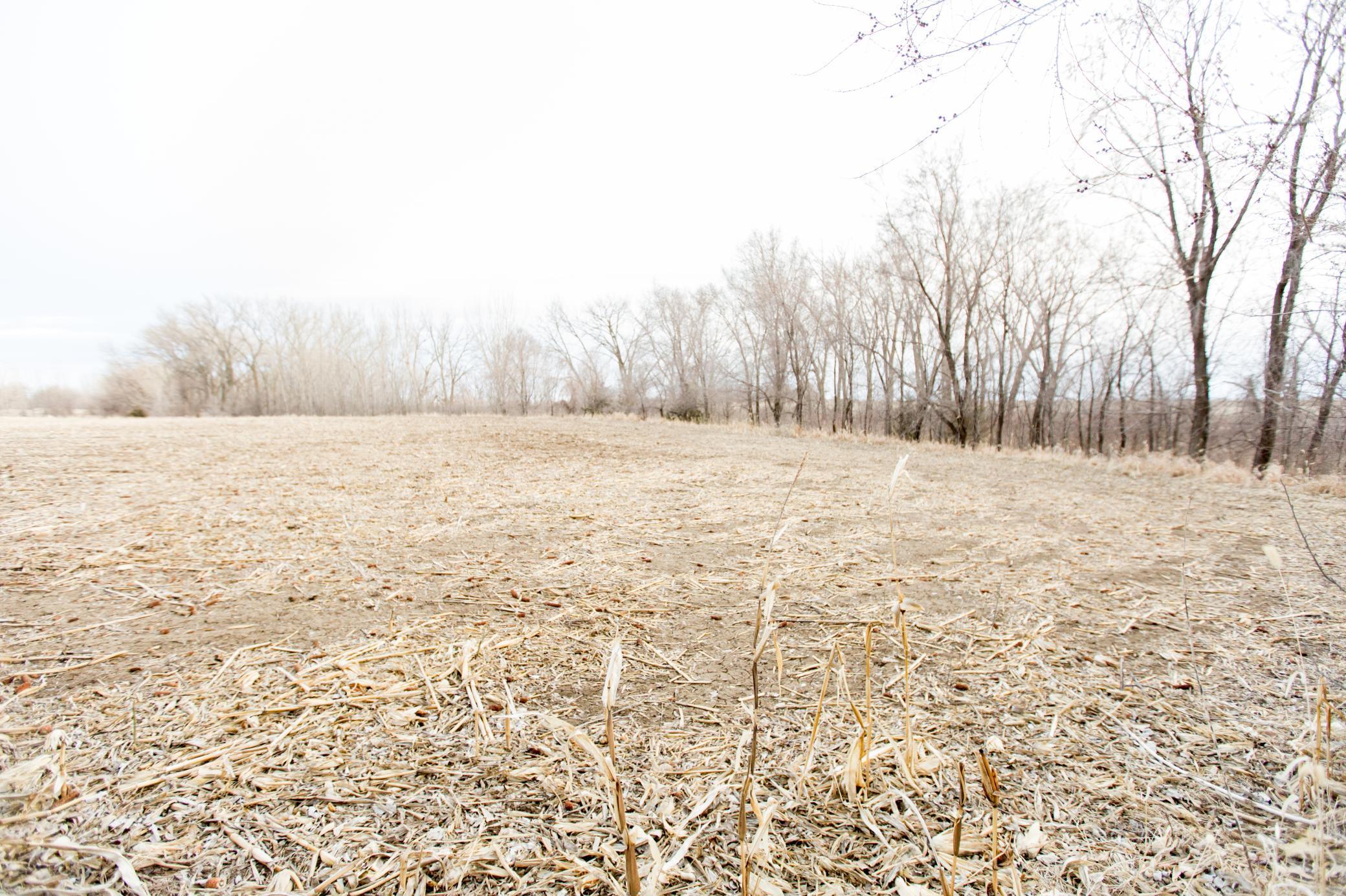 main property photo 78