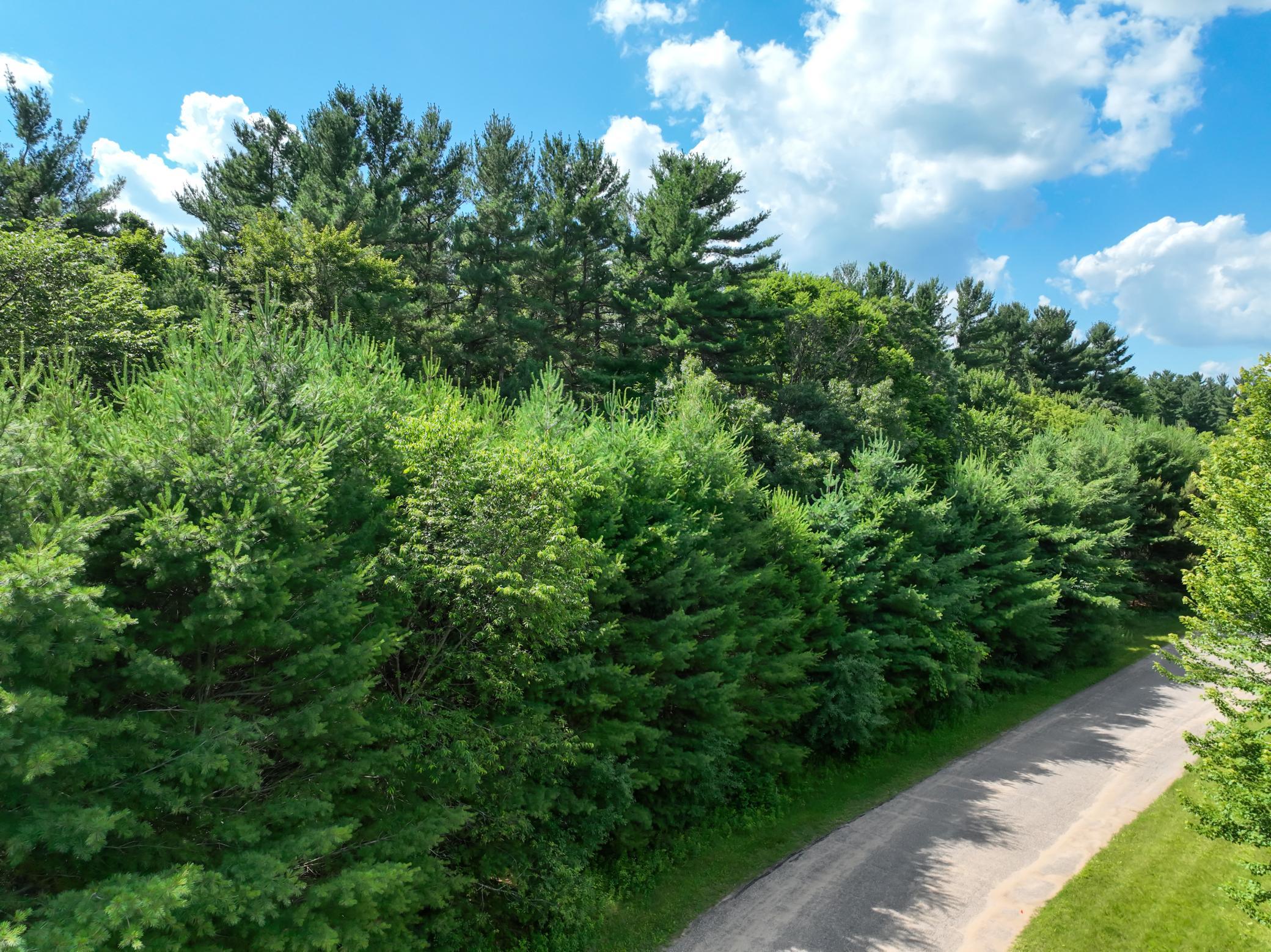 main property photo 11