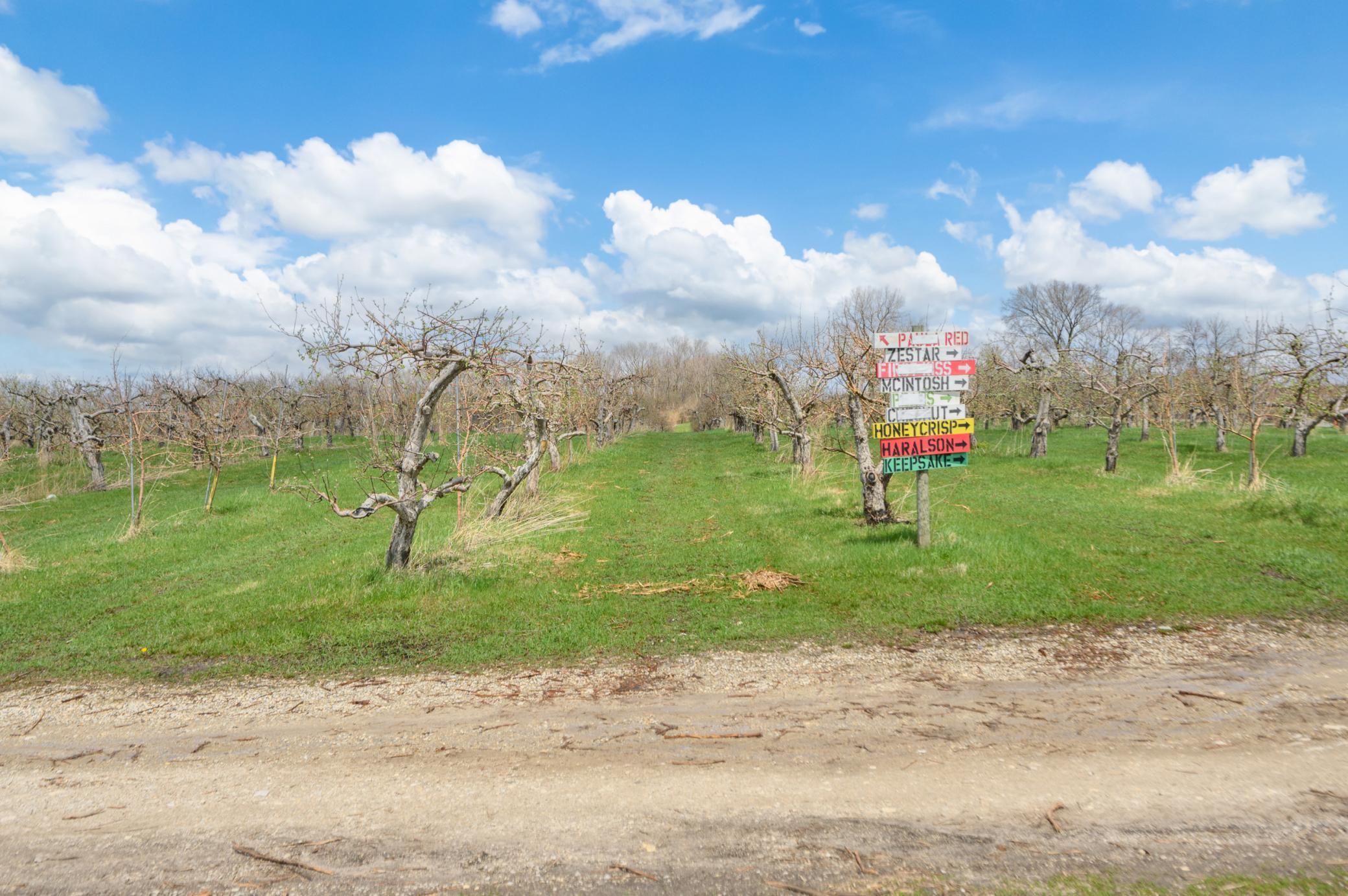 main property photo 27