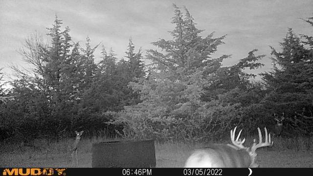 main property photo 29