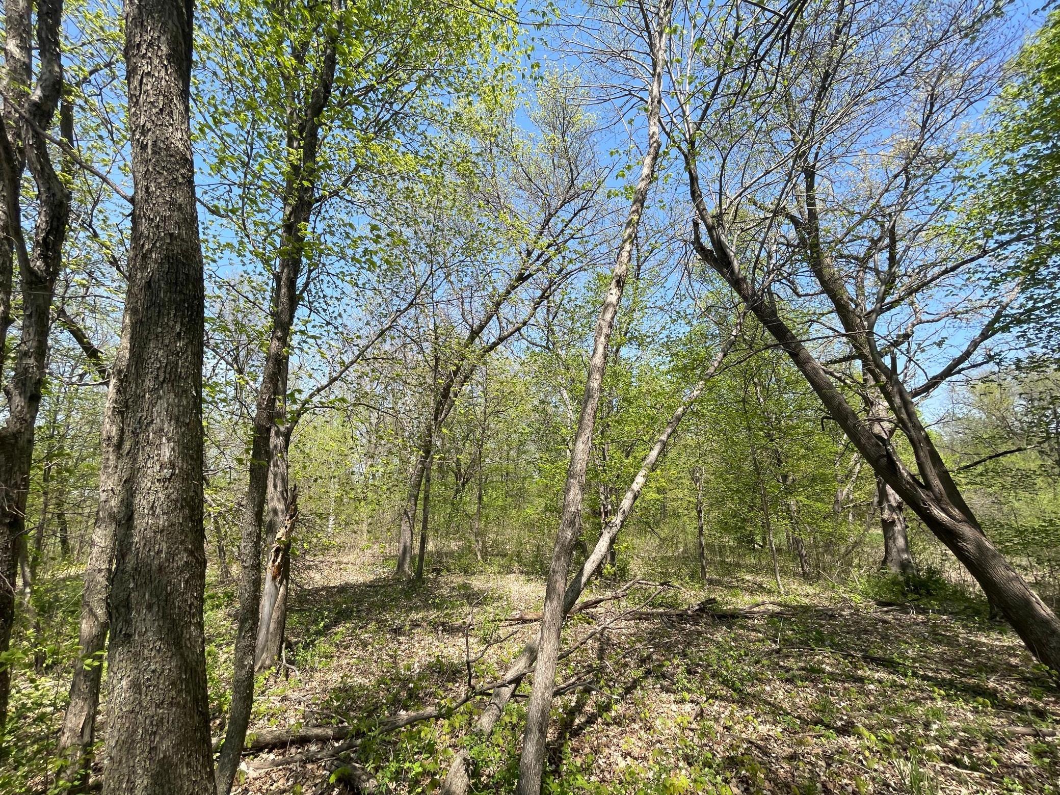 main property photo 18
