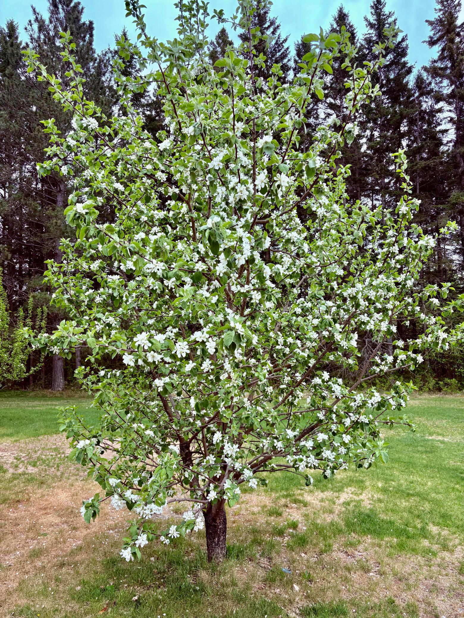 main property photo 47