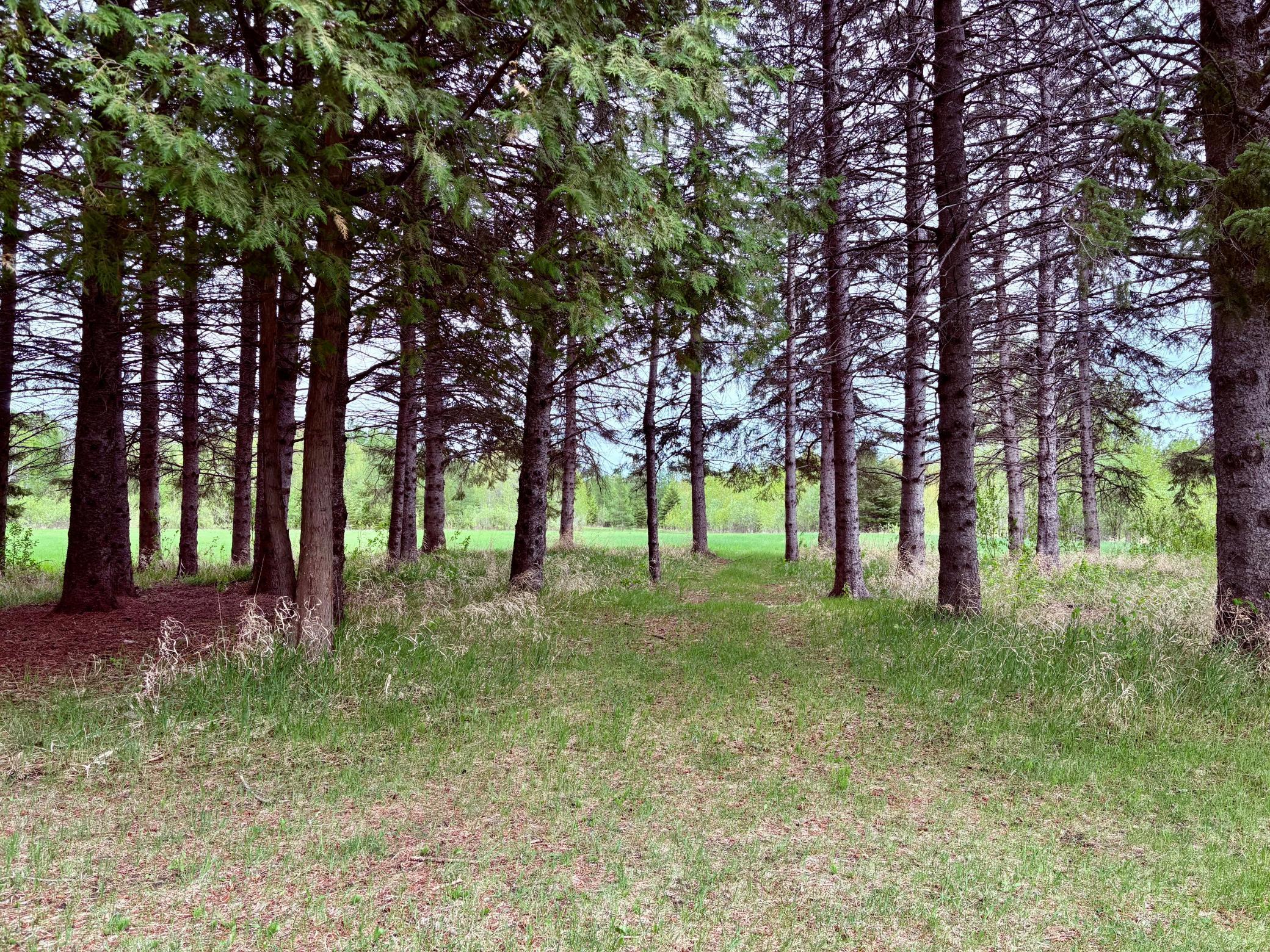 main property photo 48
