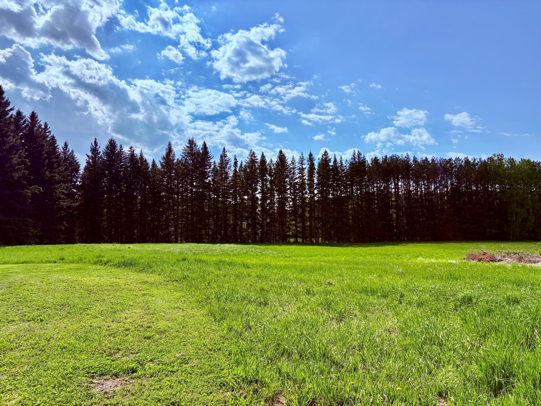 main property photo 79