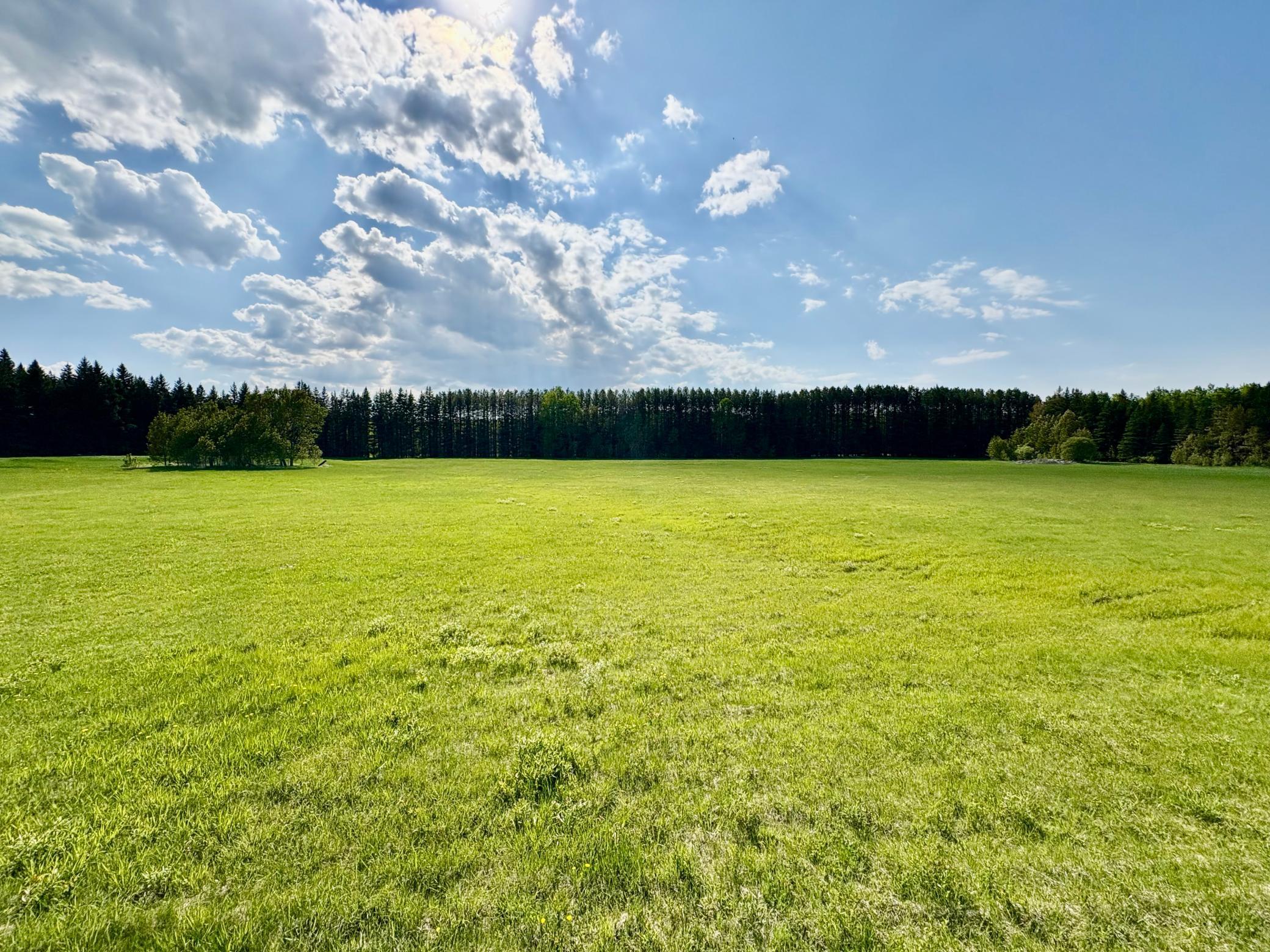 main property photo 87