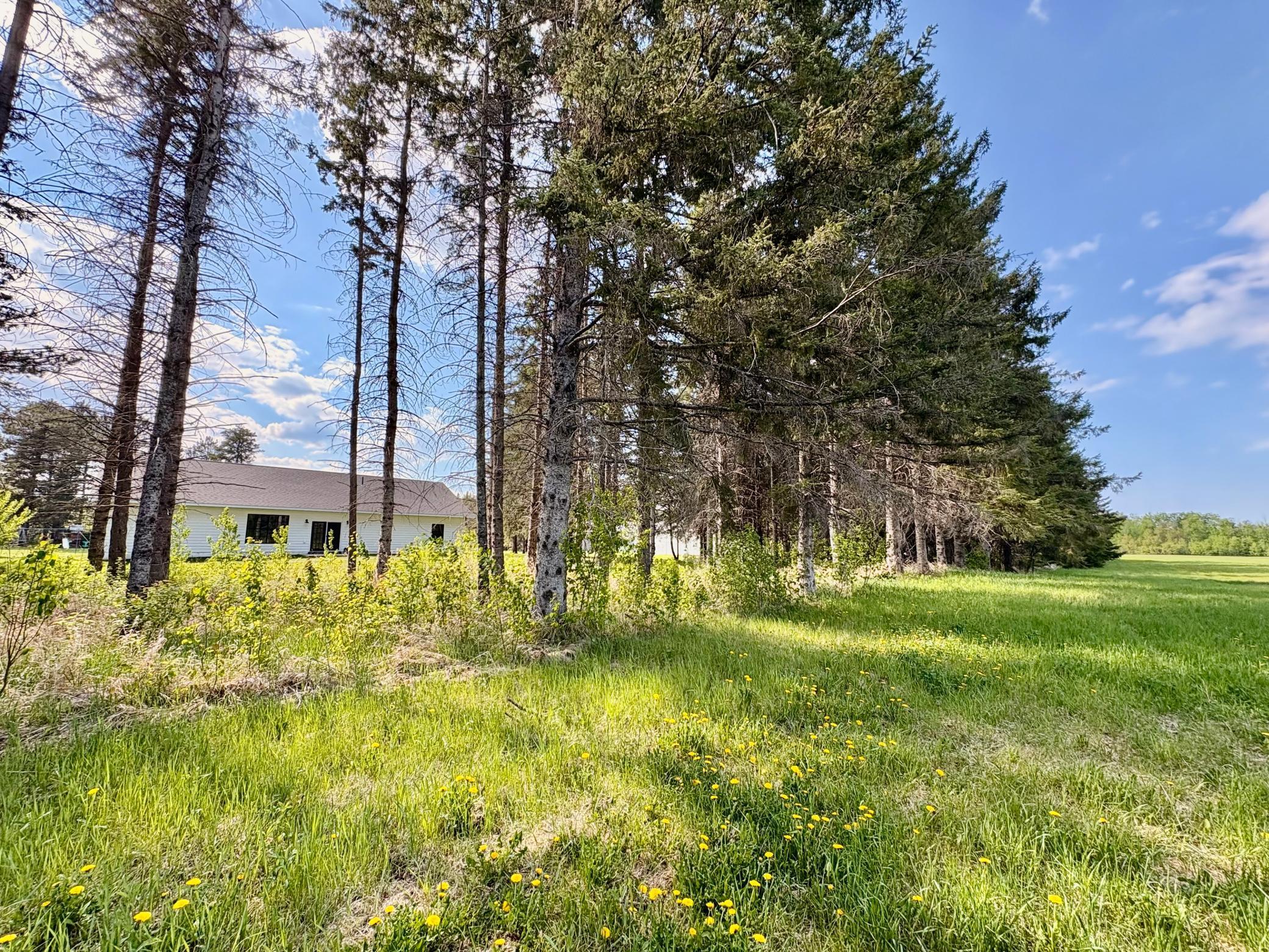 main property photo 95
