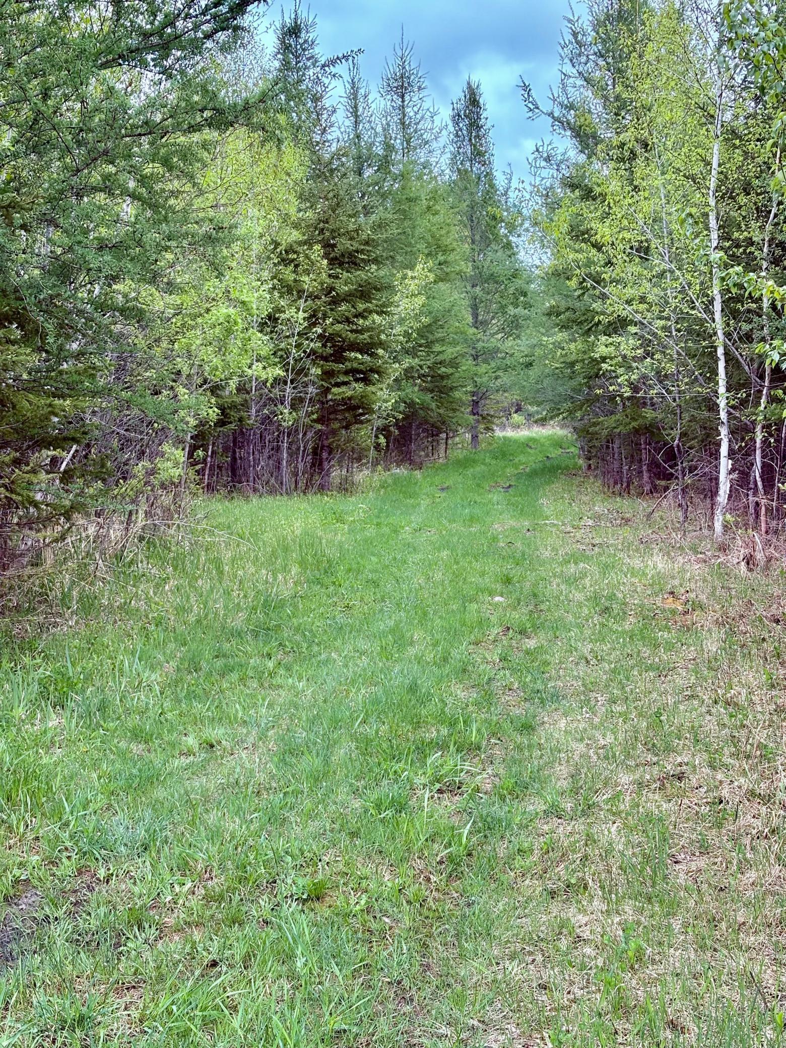 main property photo 98