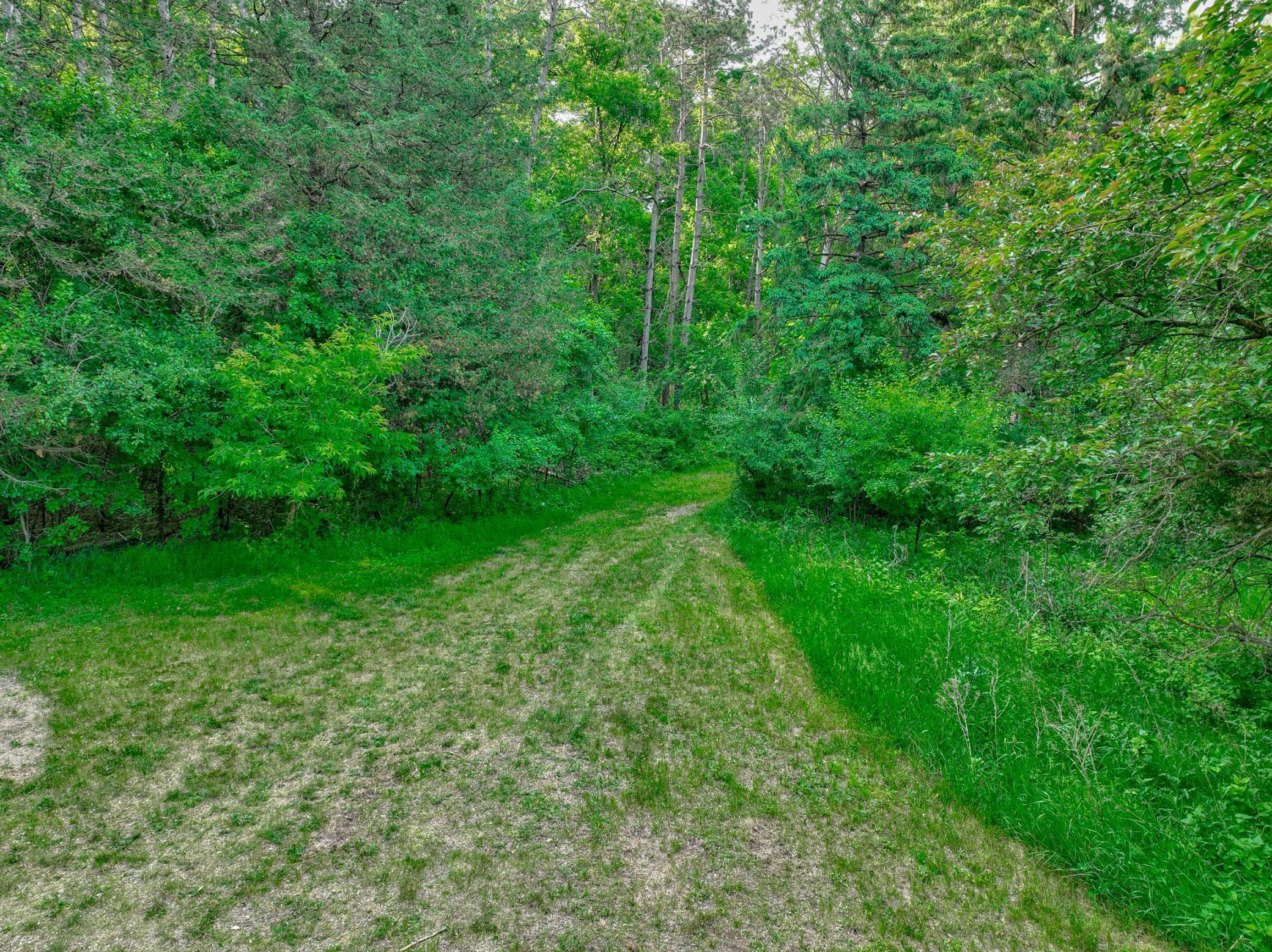 main property photo 54