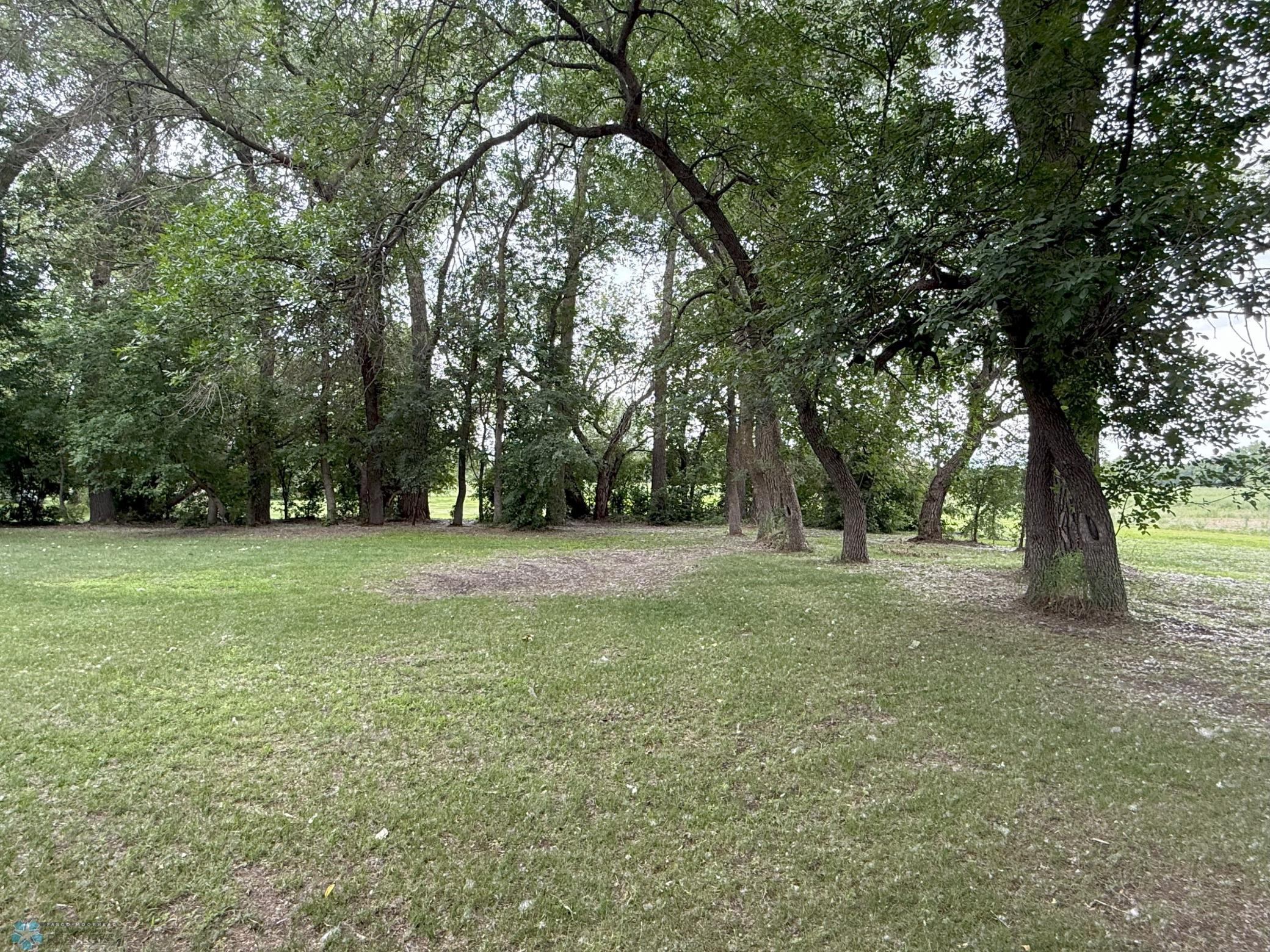 main property photo 54