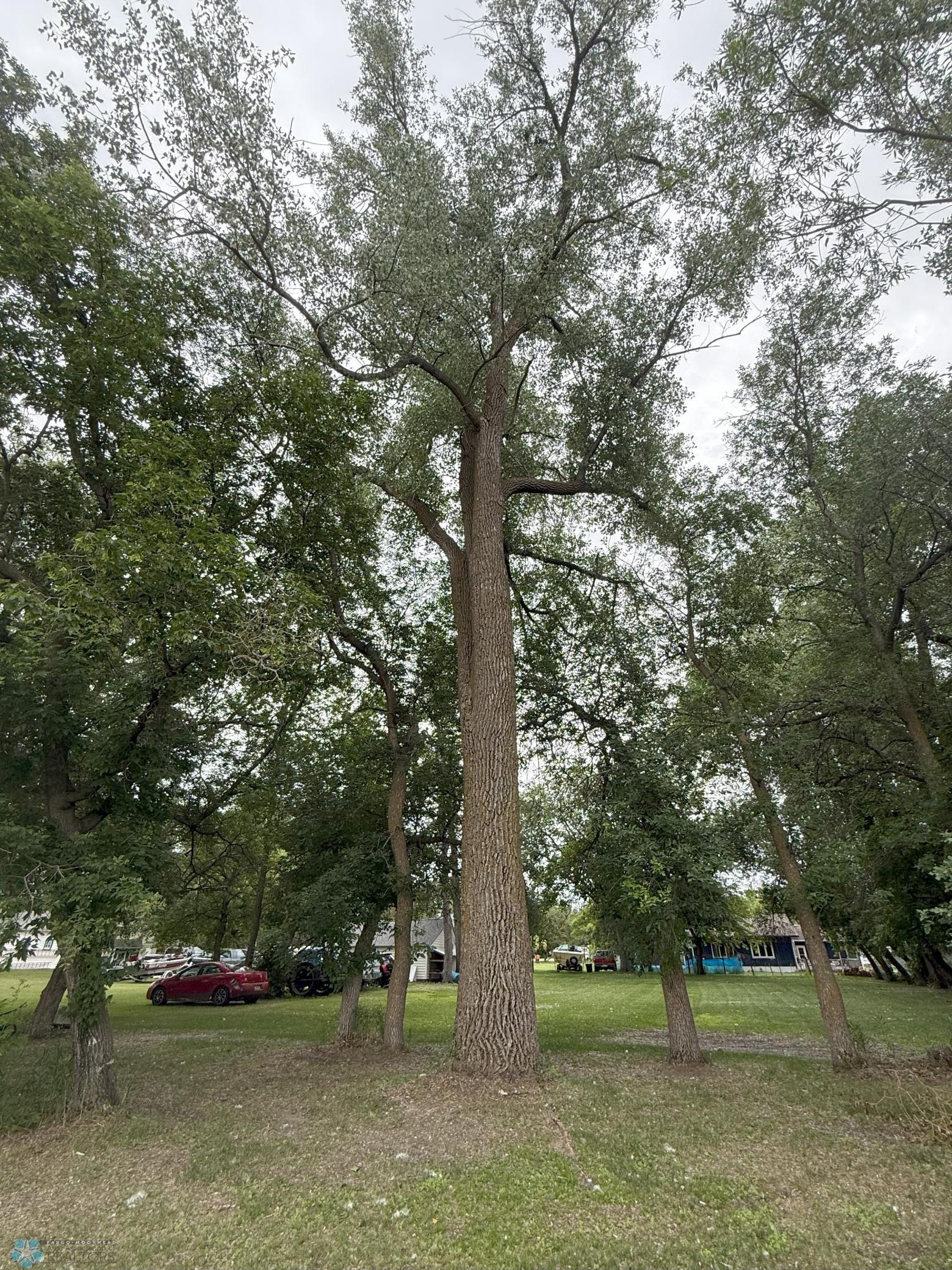 main property photo 57