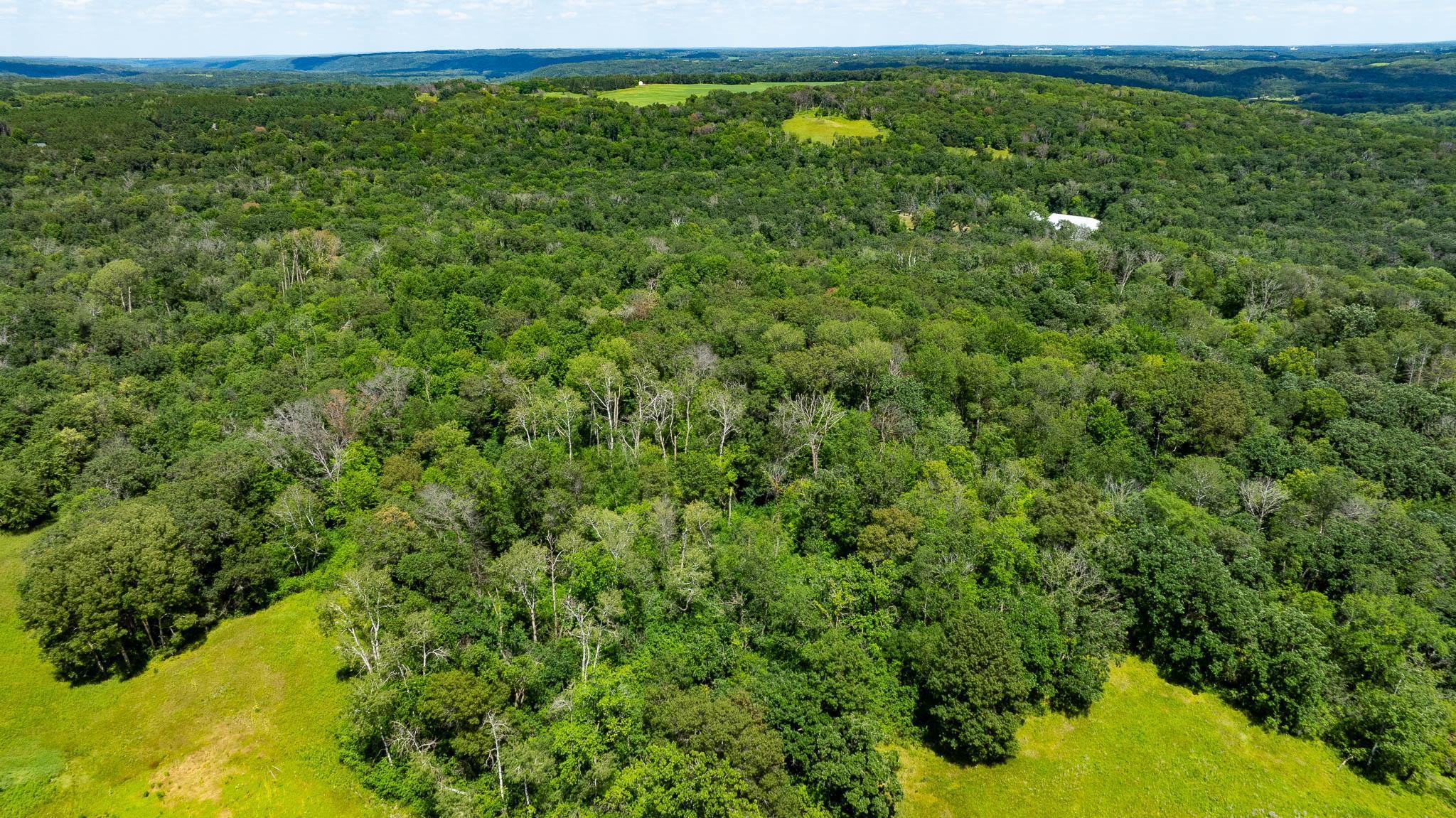main property photo 113