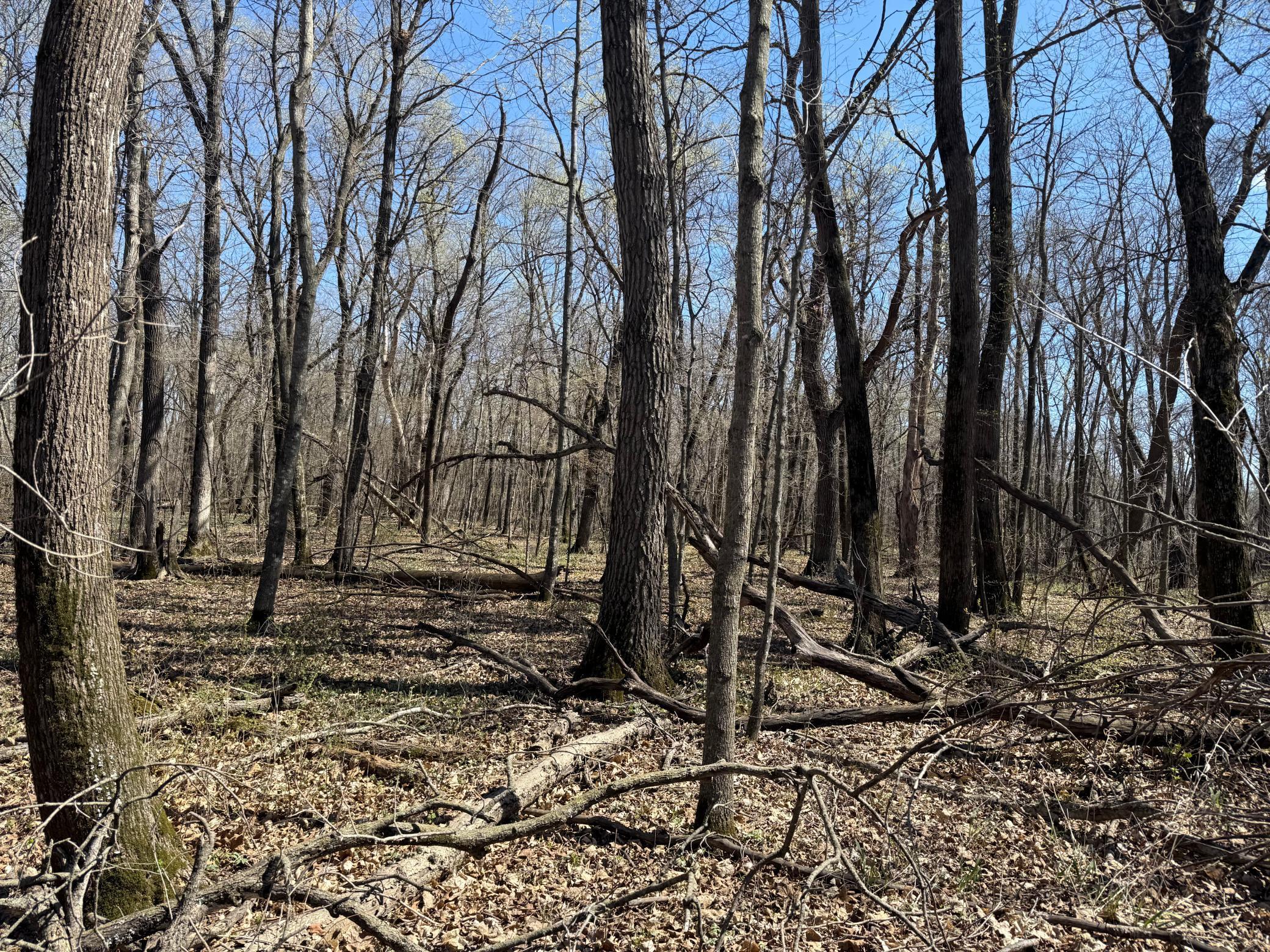 main property photo 8