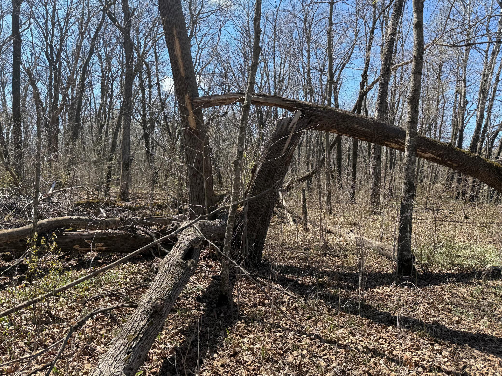 main property photo 9