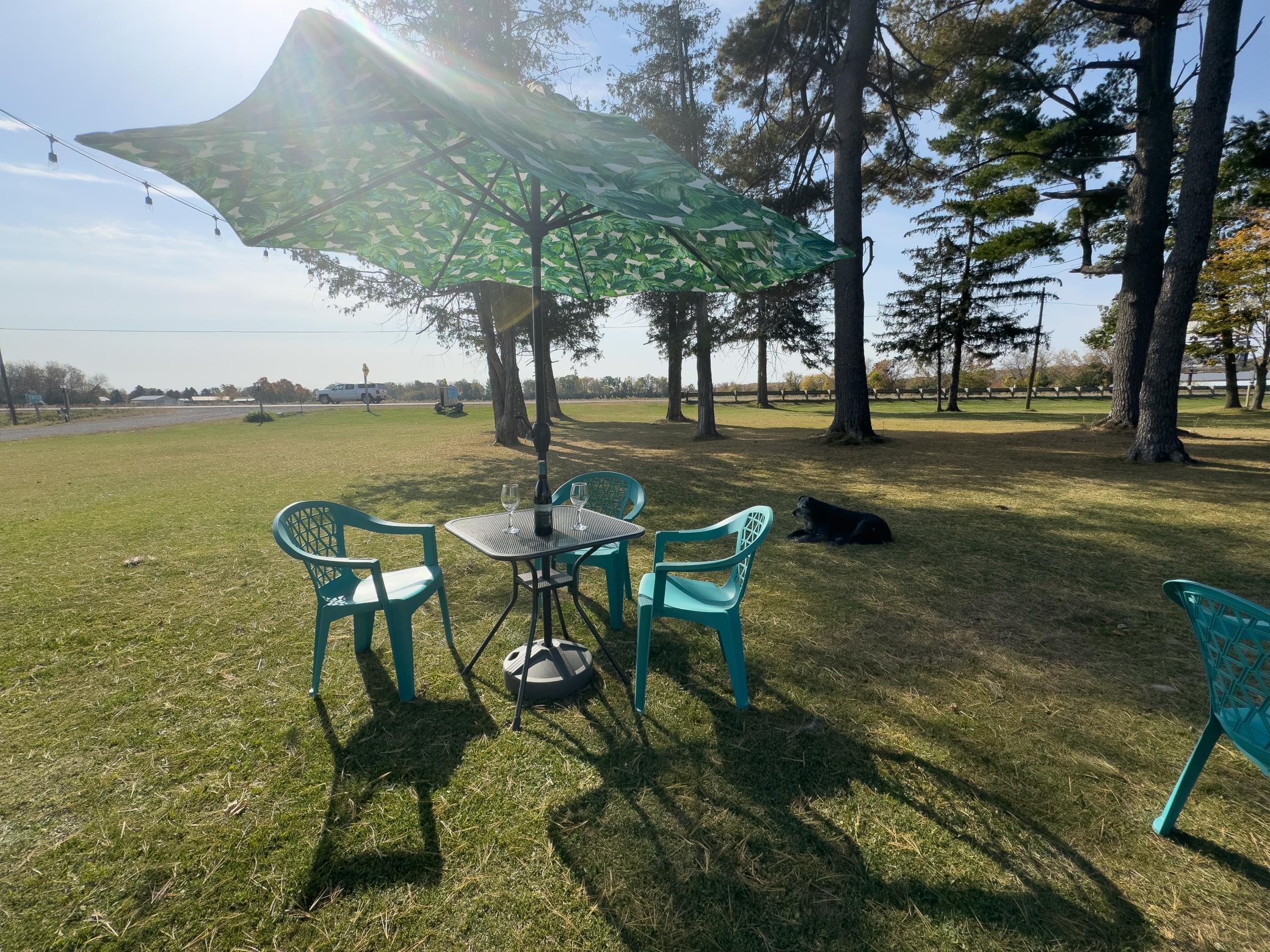 main property photo 49