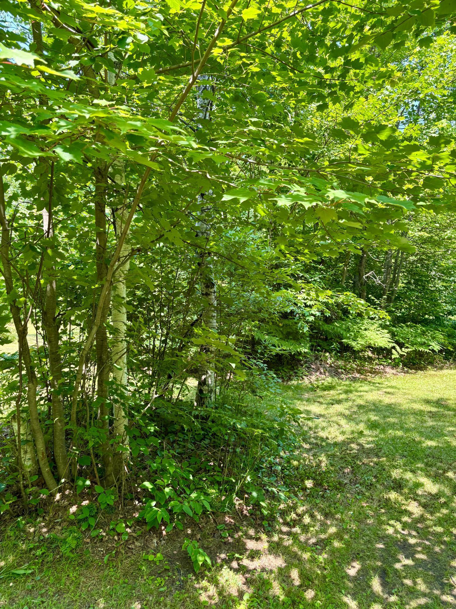 main property photo 61