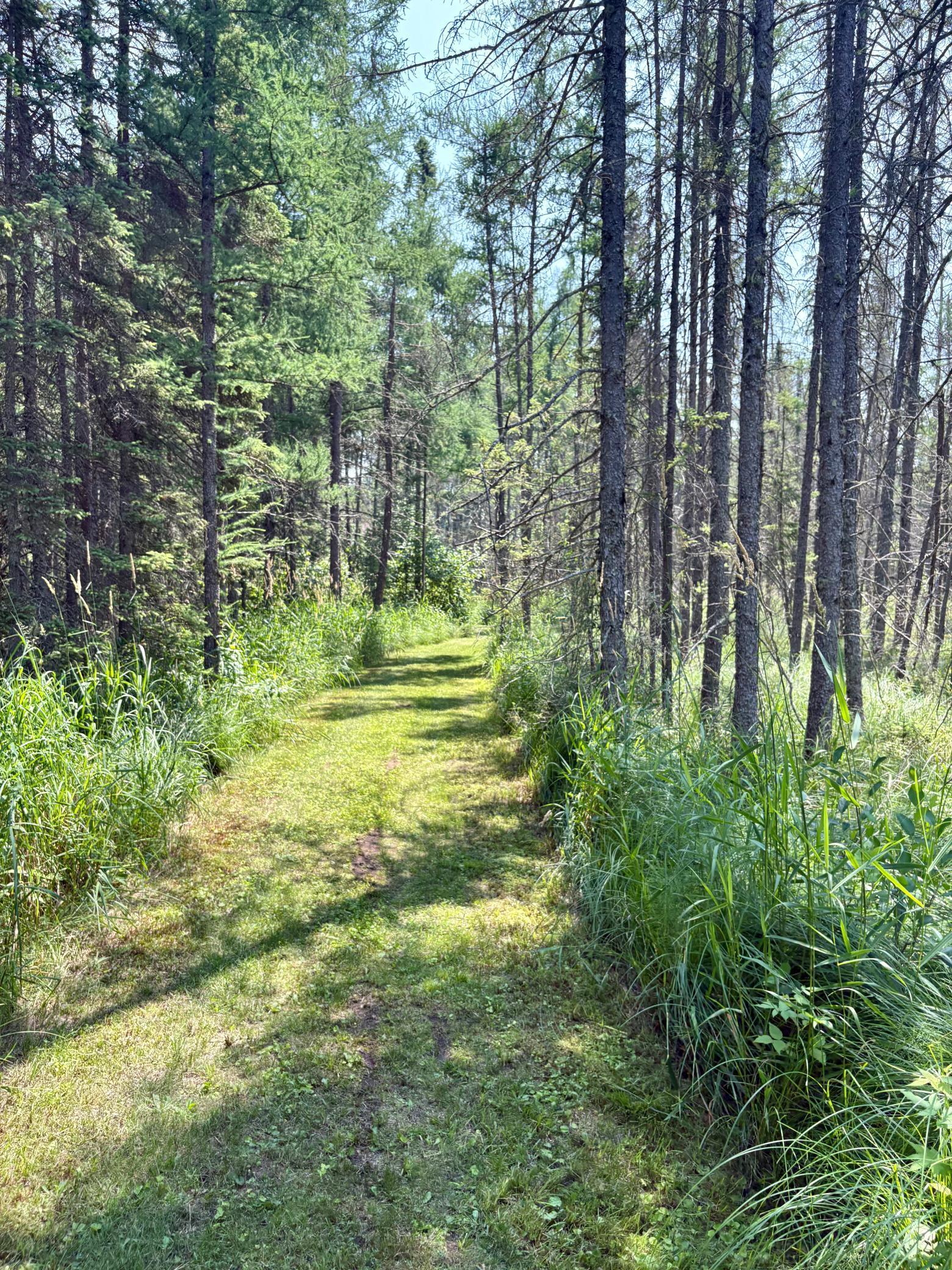 main property photo 63