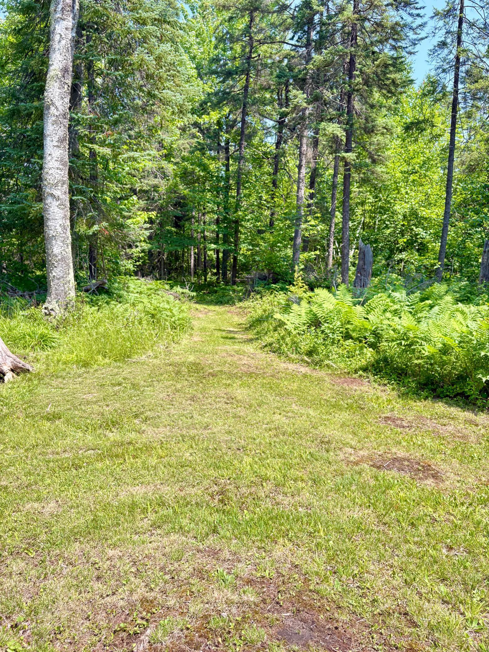 main property photo 66