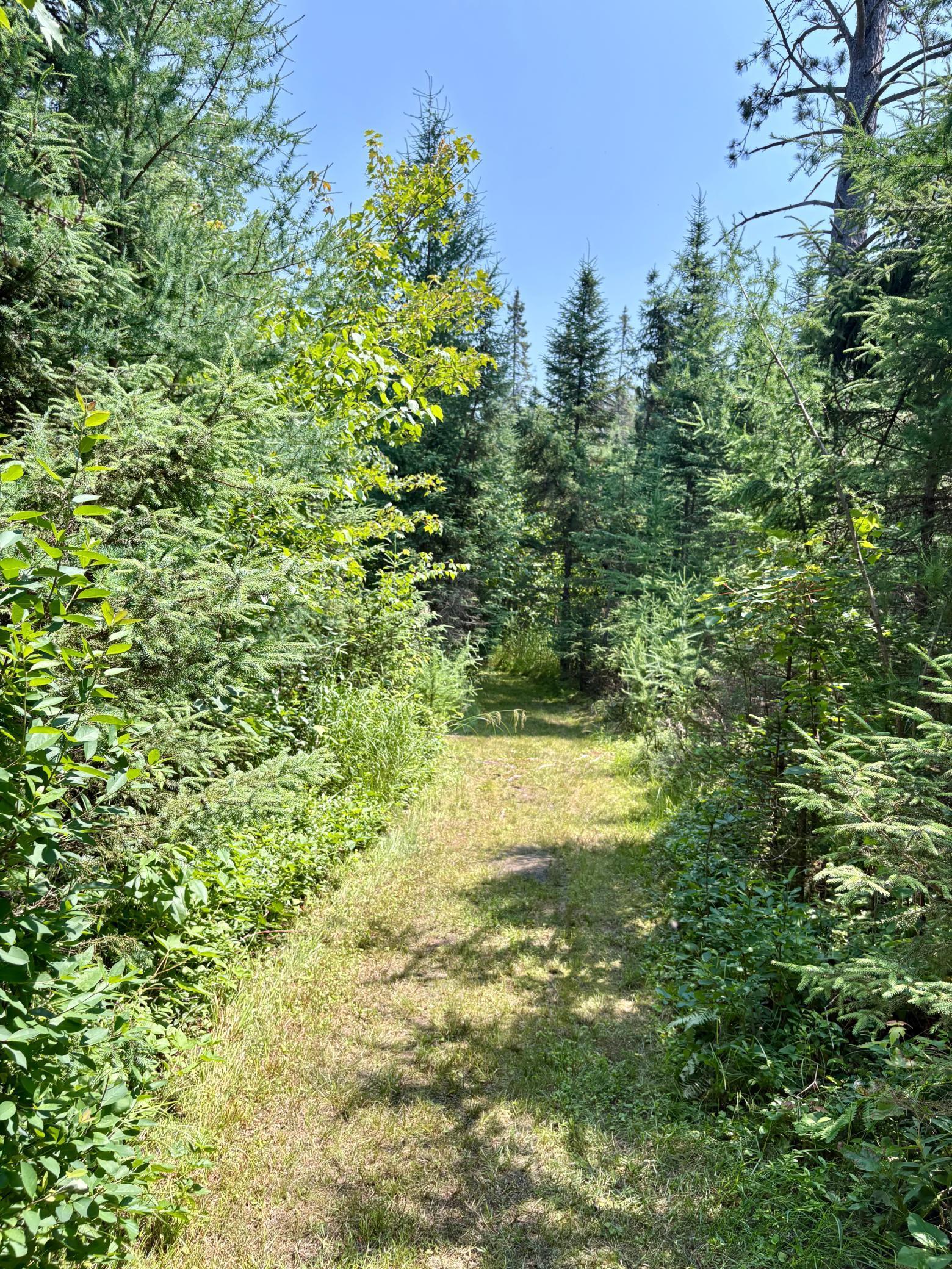 main property photo 67
