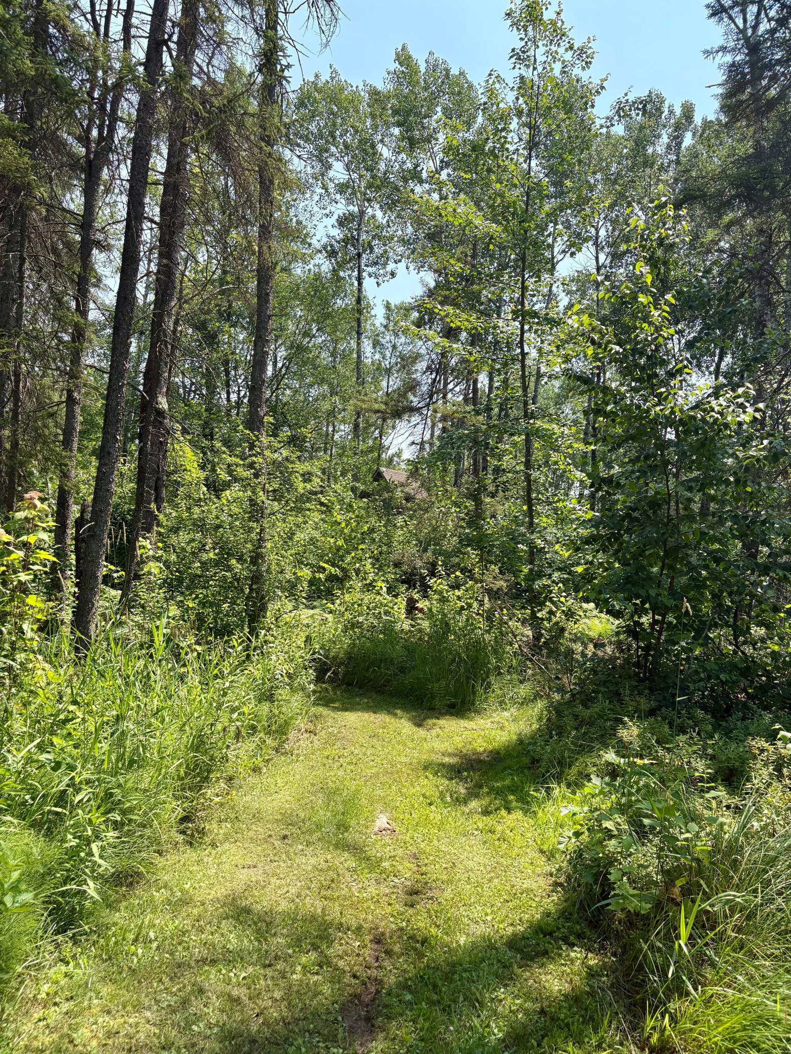 main property photo 68