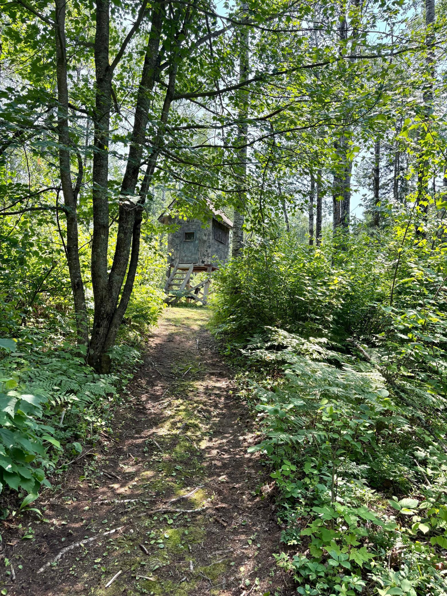 main property photo 69