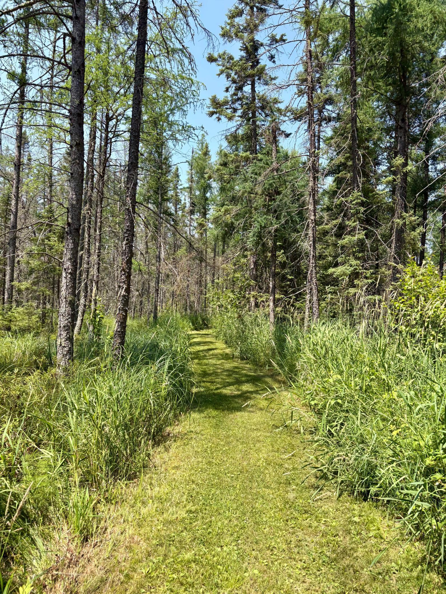 main property photo 76