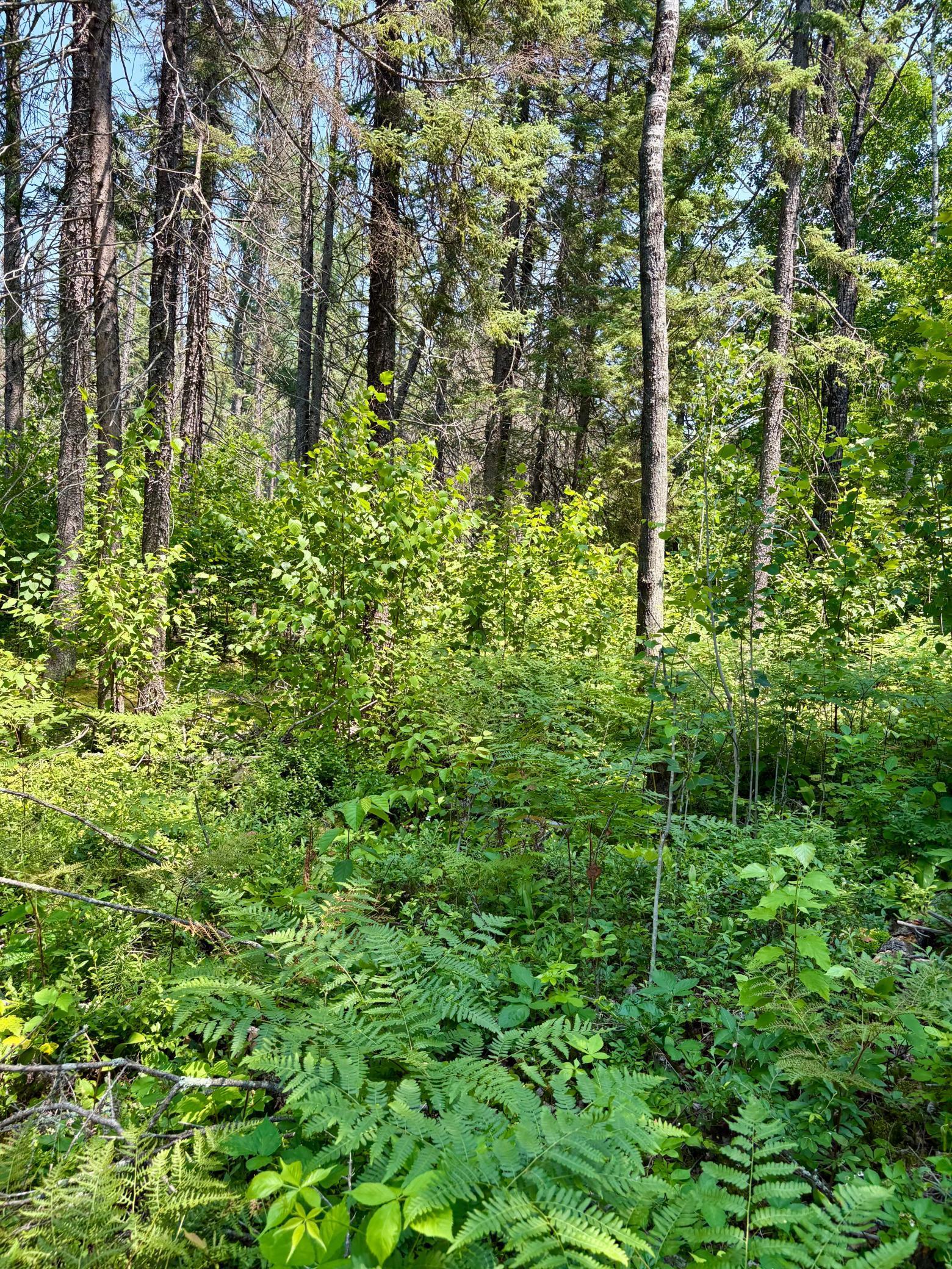 main property photo 77