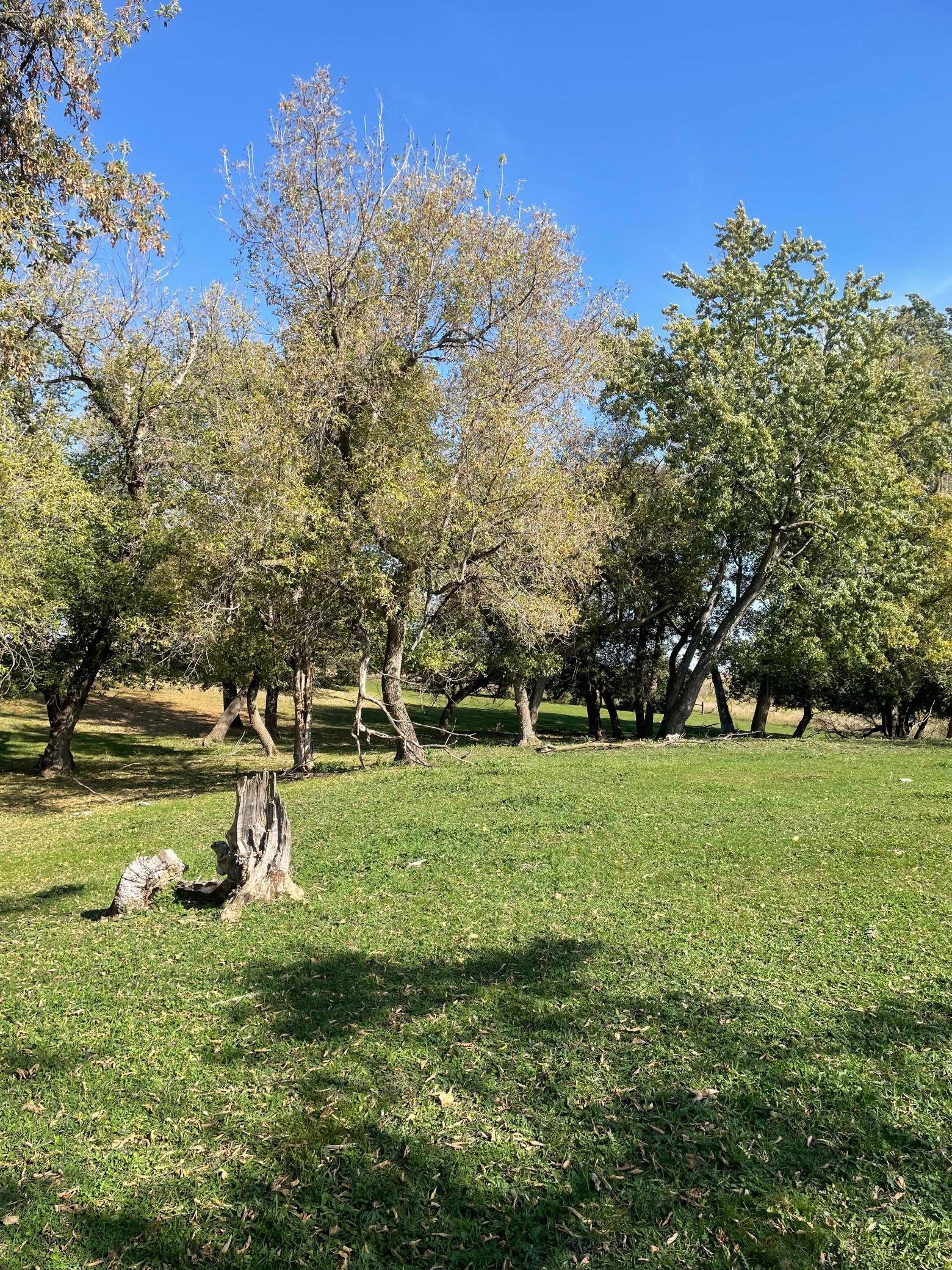 main property photo 10