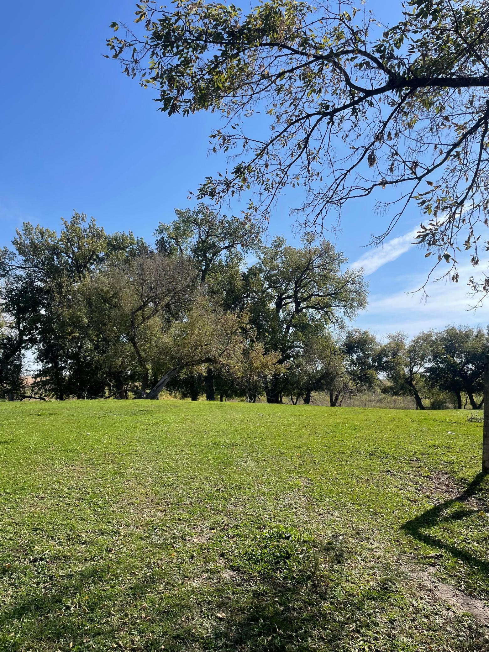 main property photo 11
