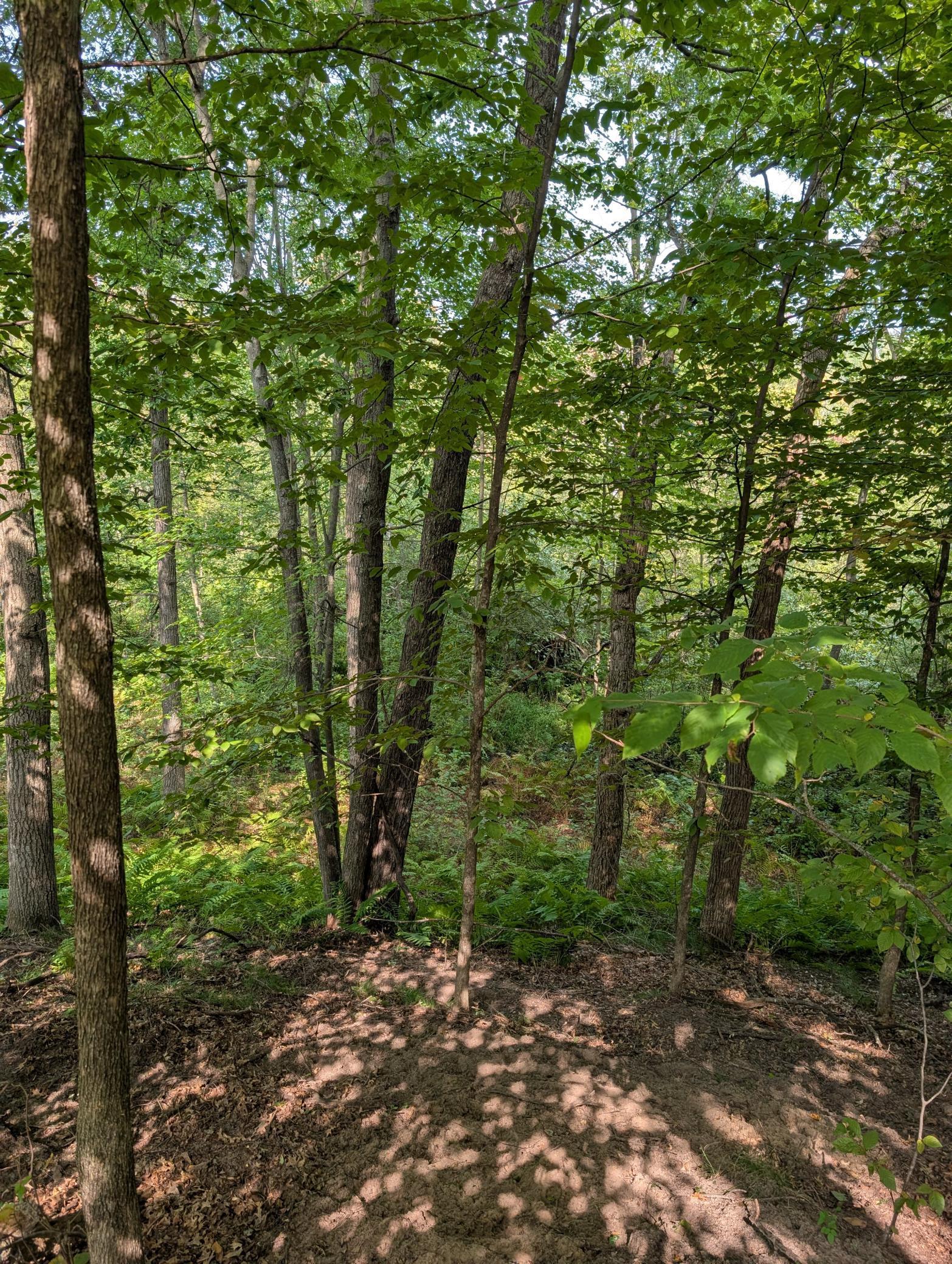 main property photo 12