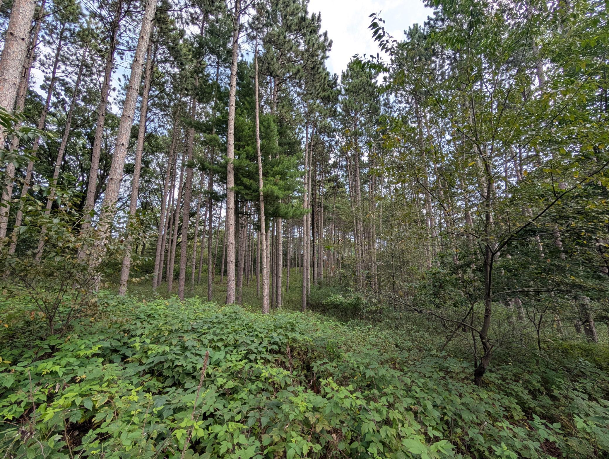 main property photo 22