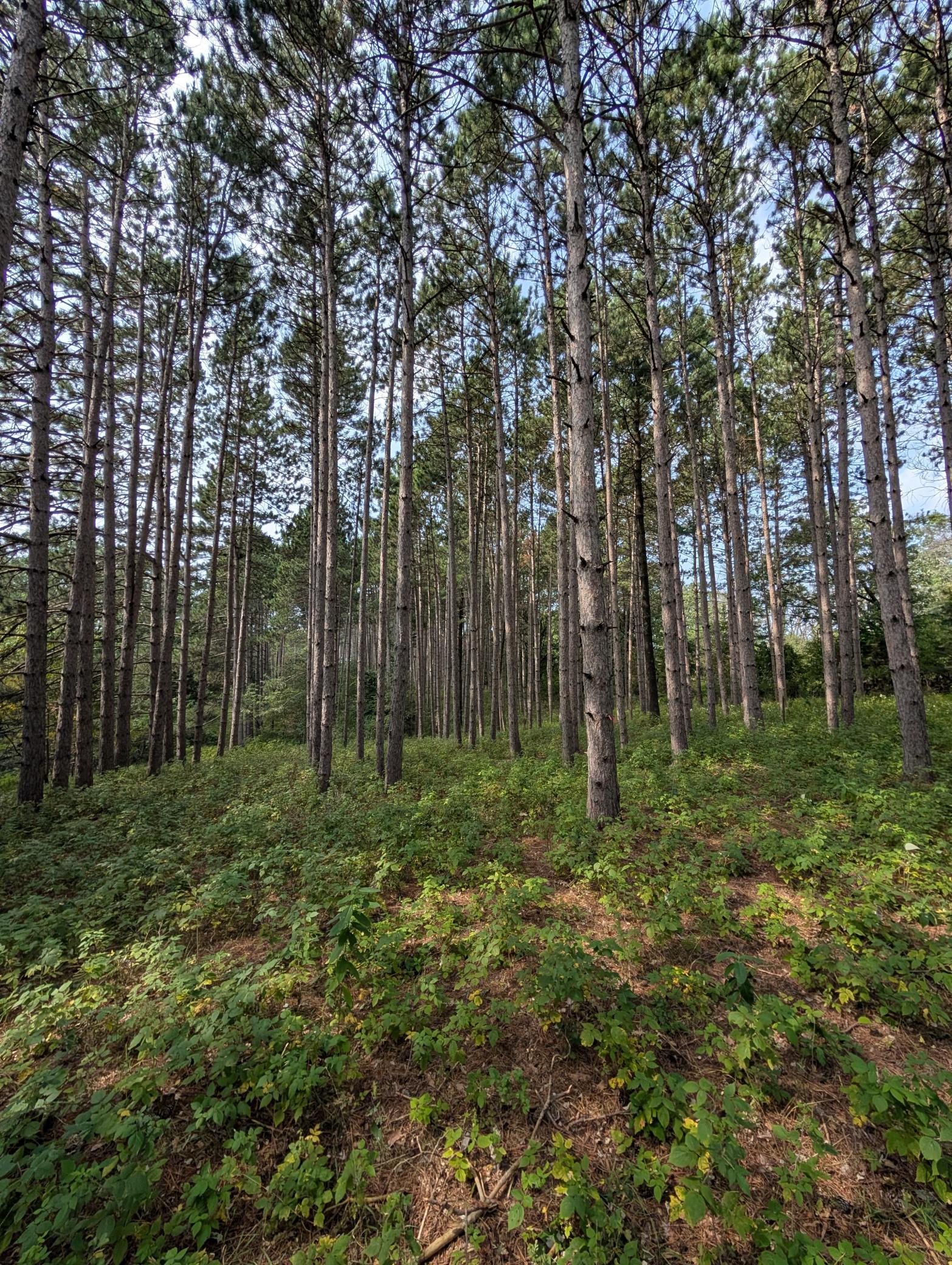 main property photo 6