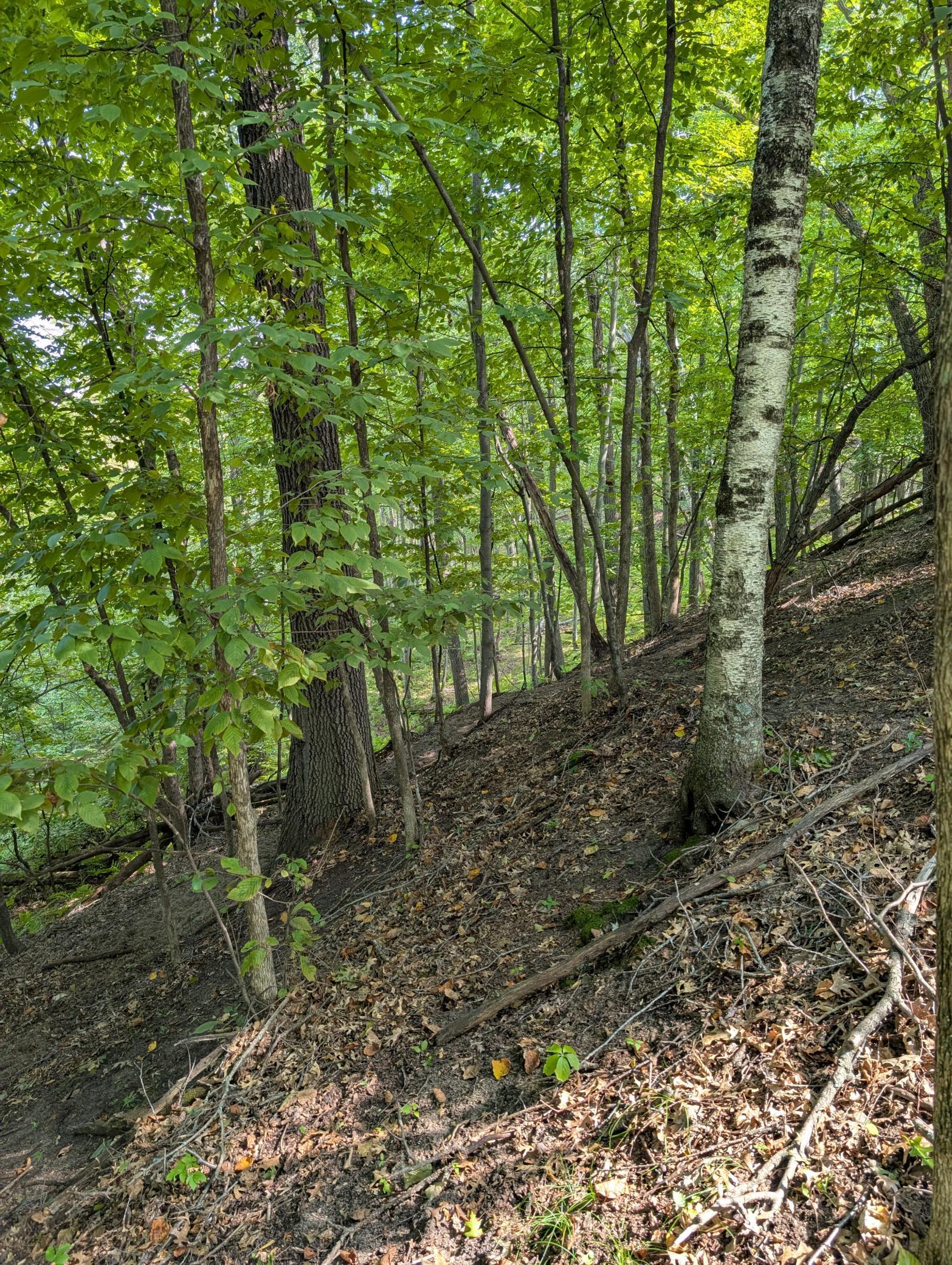 main property photo 11
