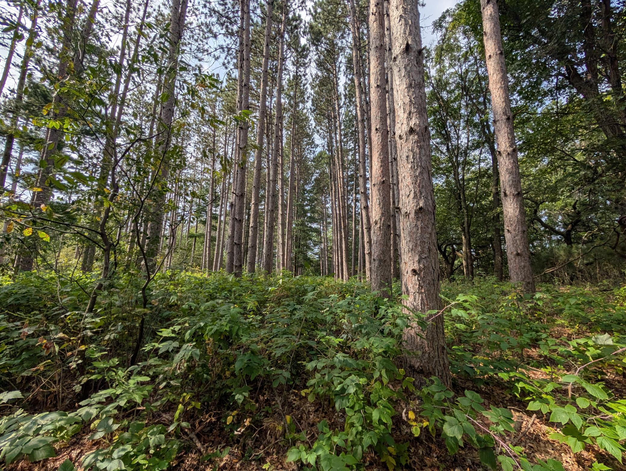 main property photo 24