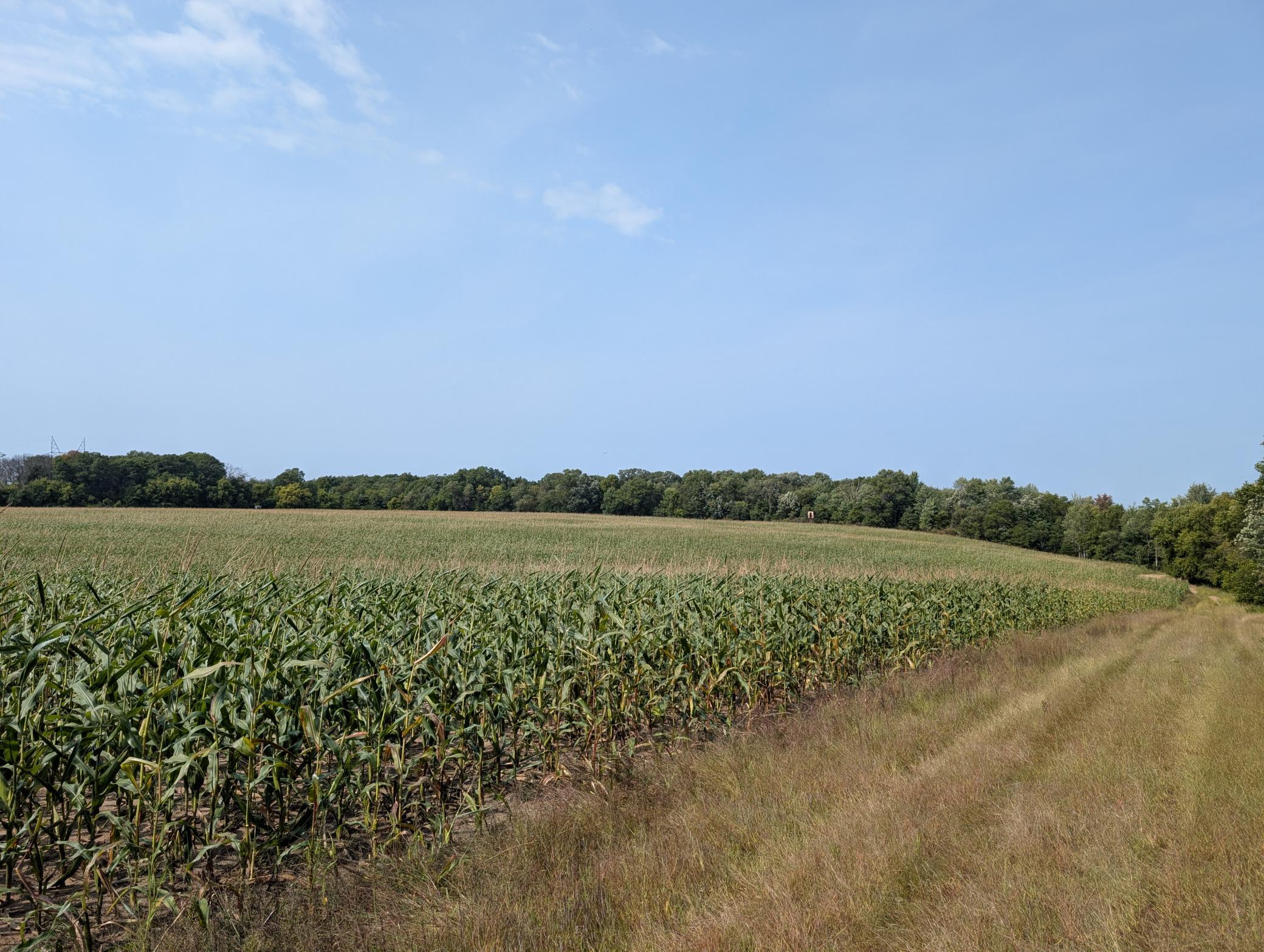 main property photo 26