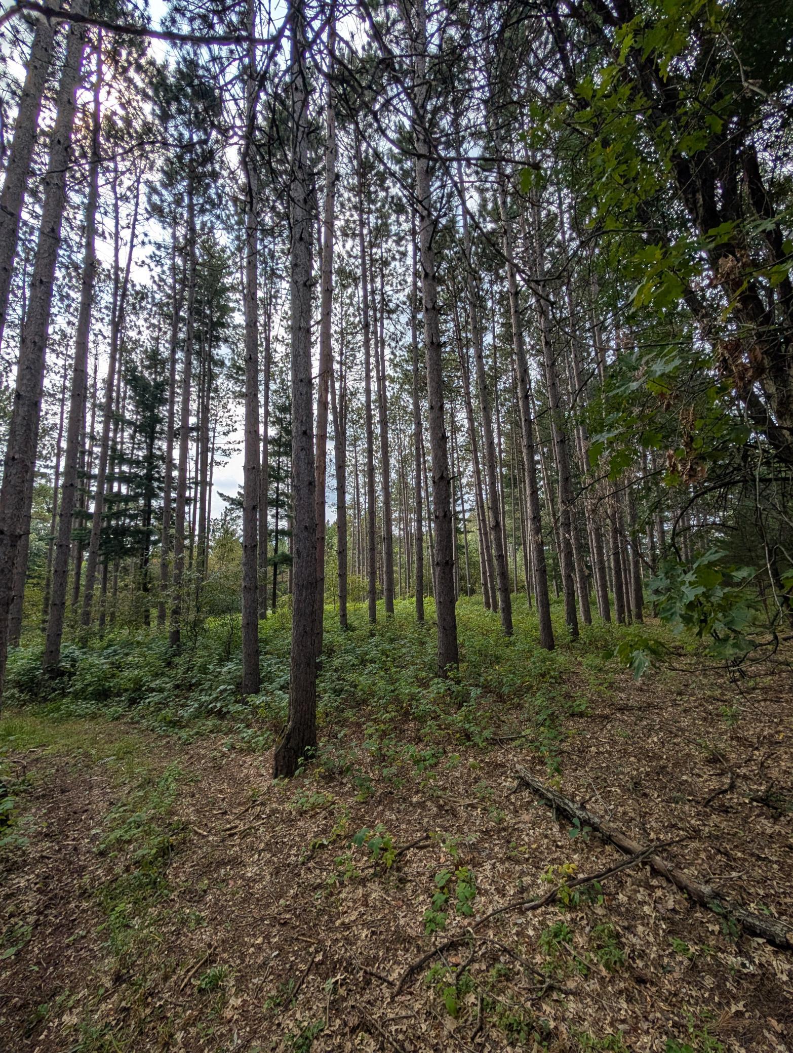 main property photo 18