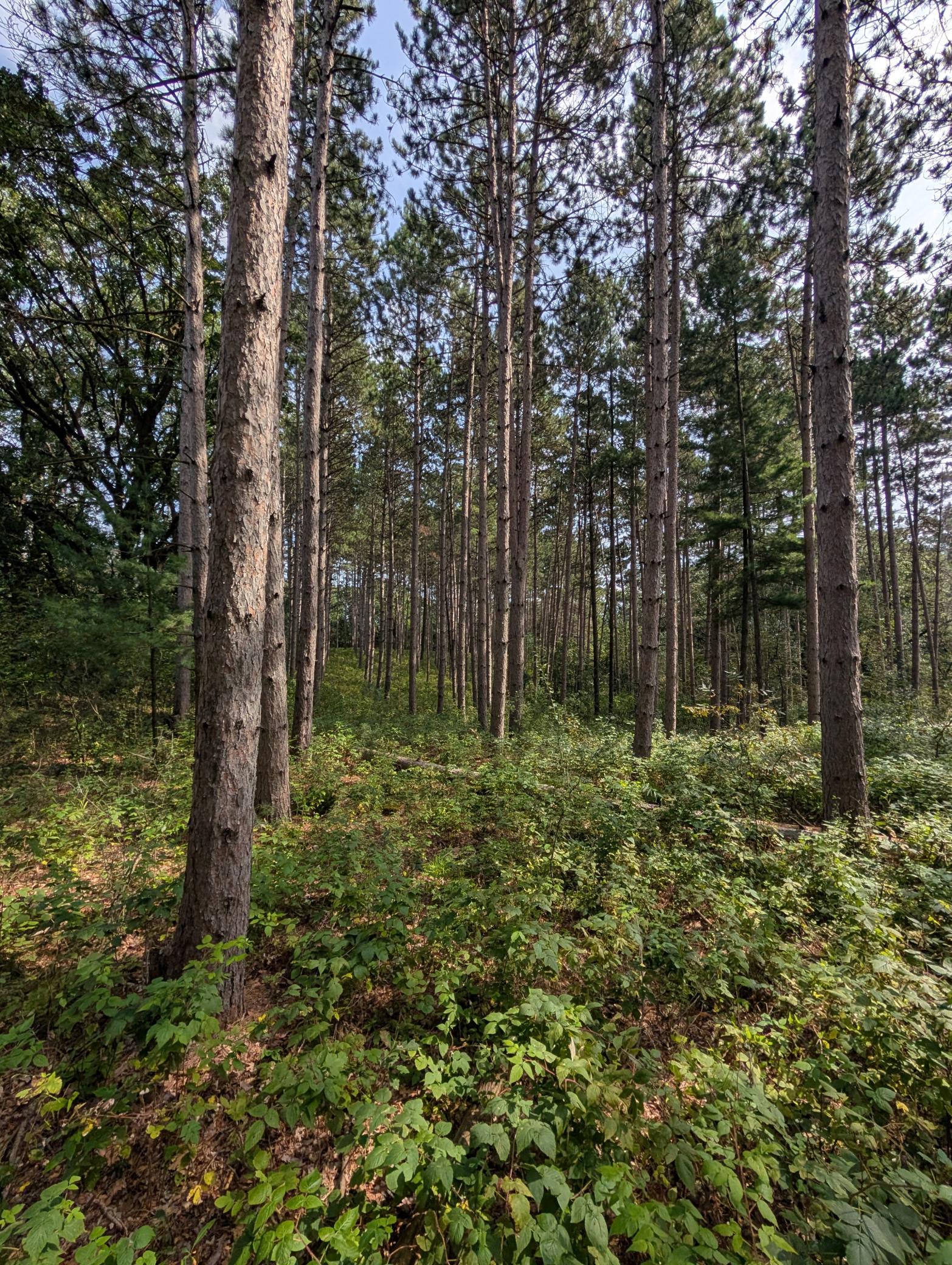 main property photo 21