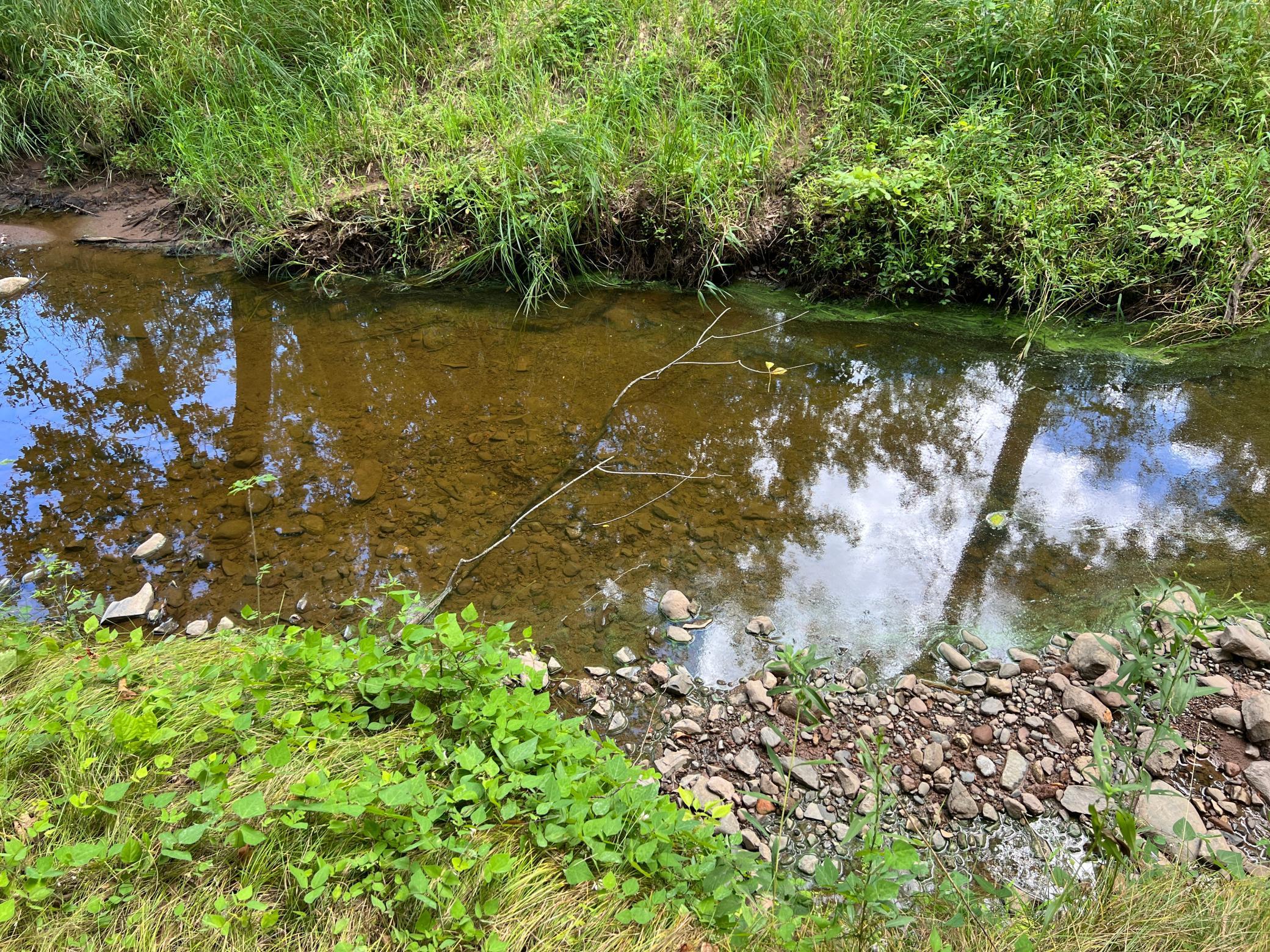 main property photo 11