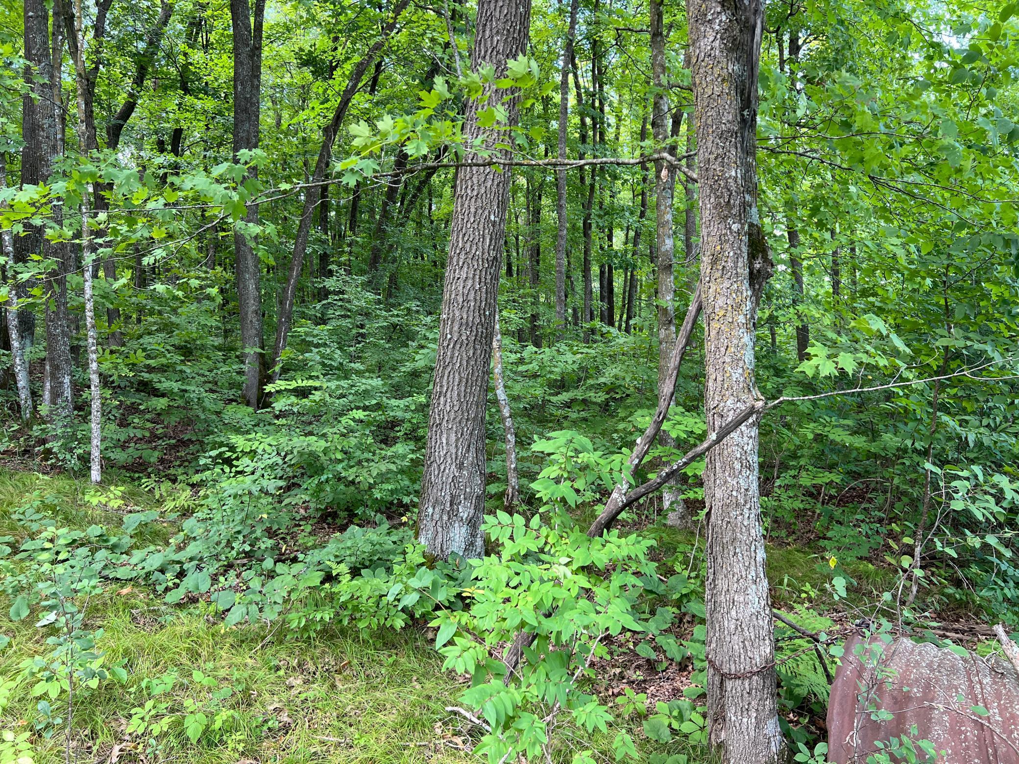 main property photo 13