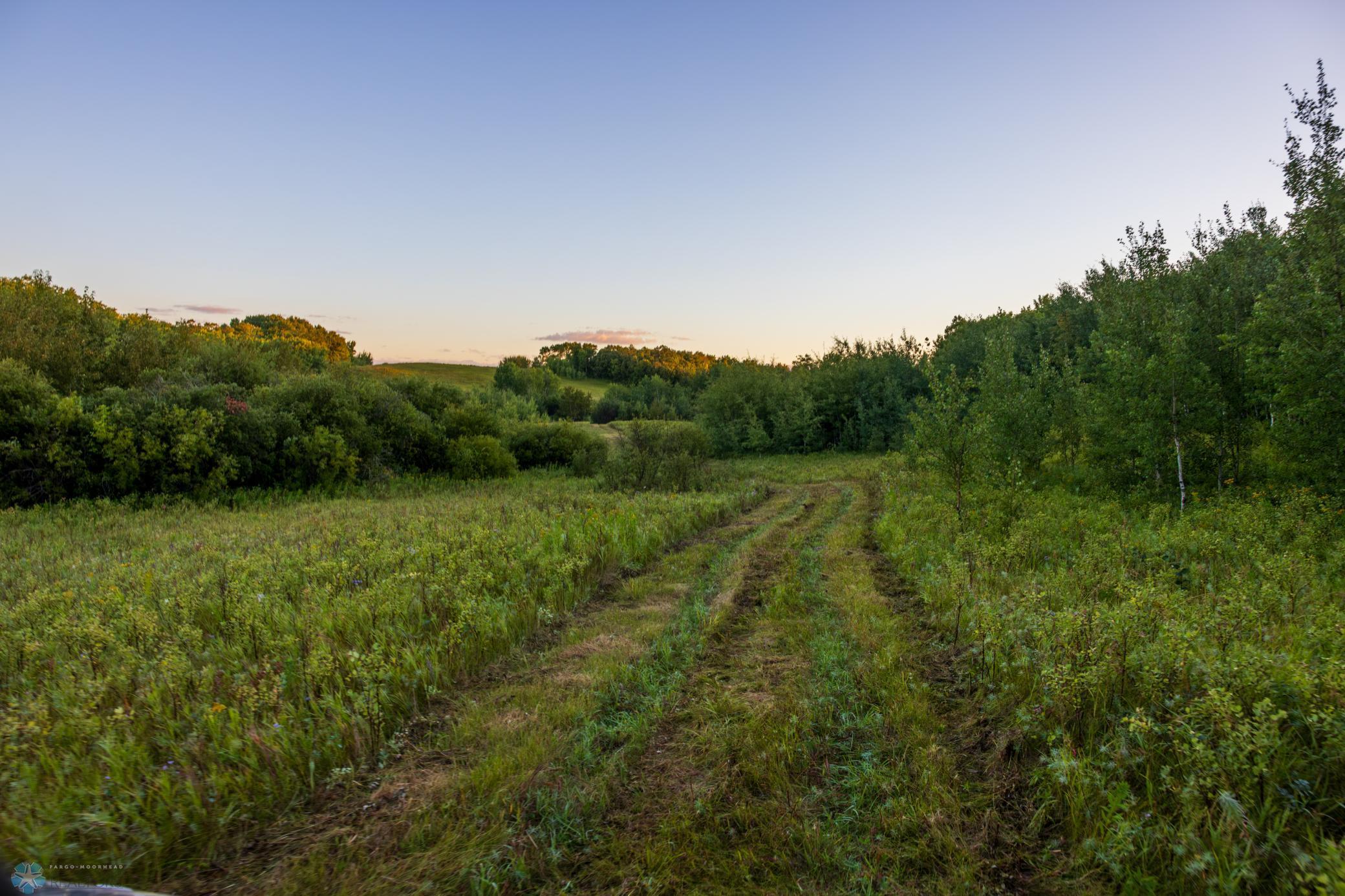 main property photo 42