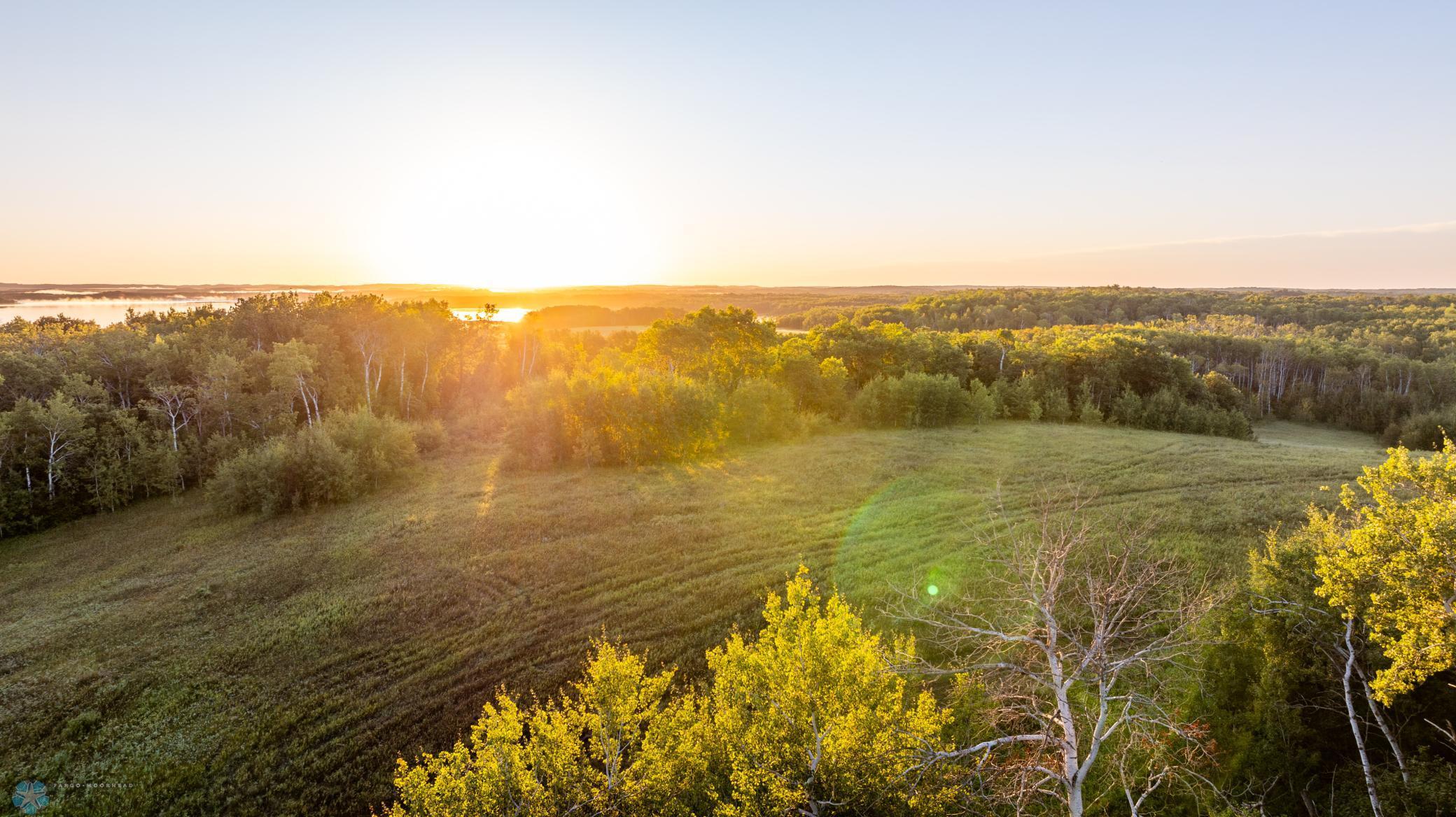 main property photo 54