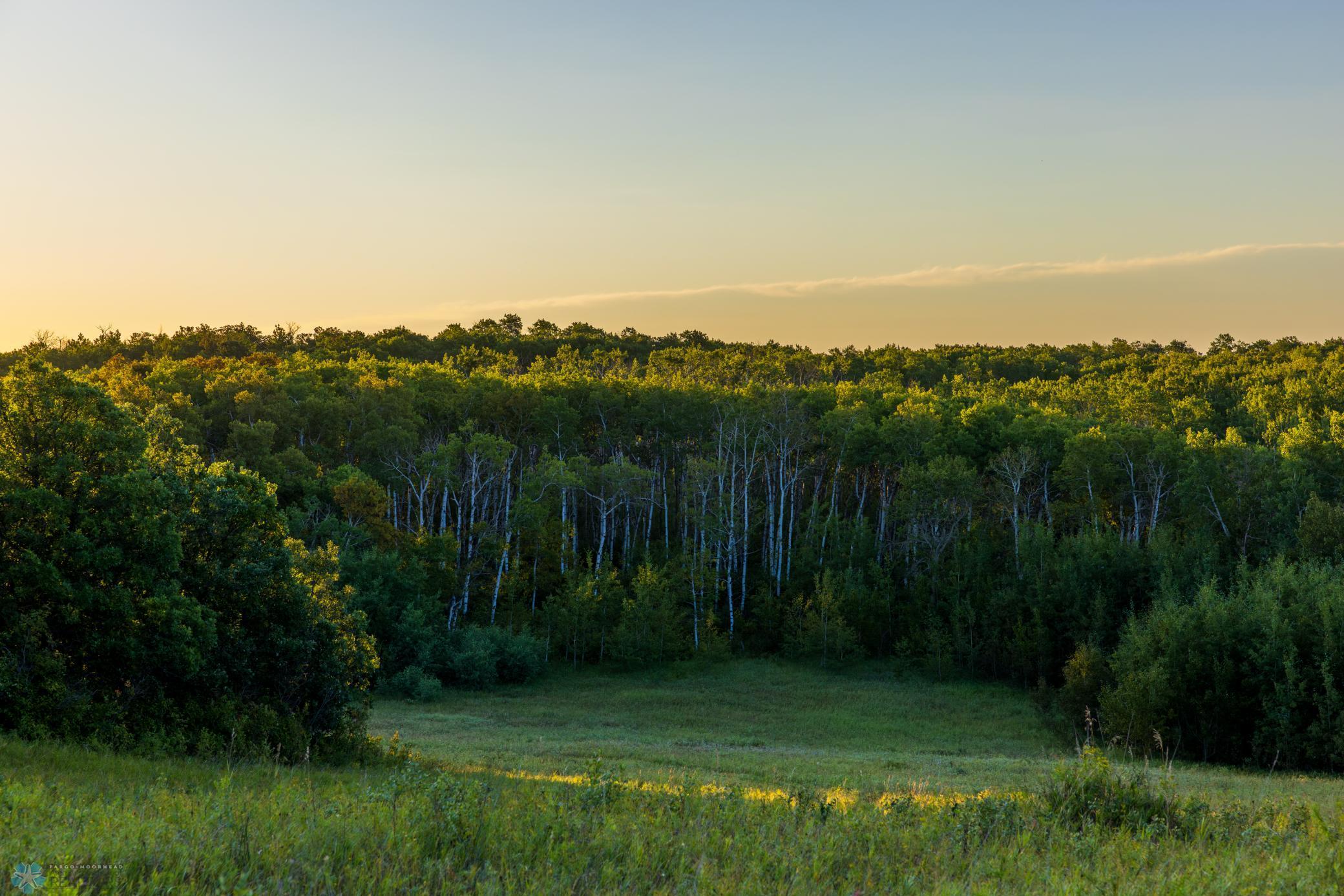 main property photo 61