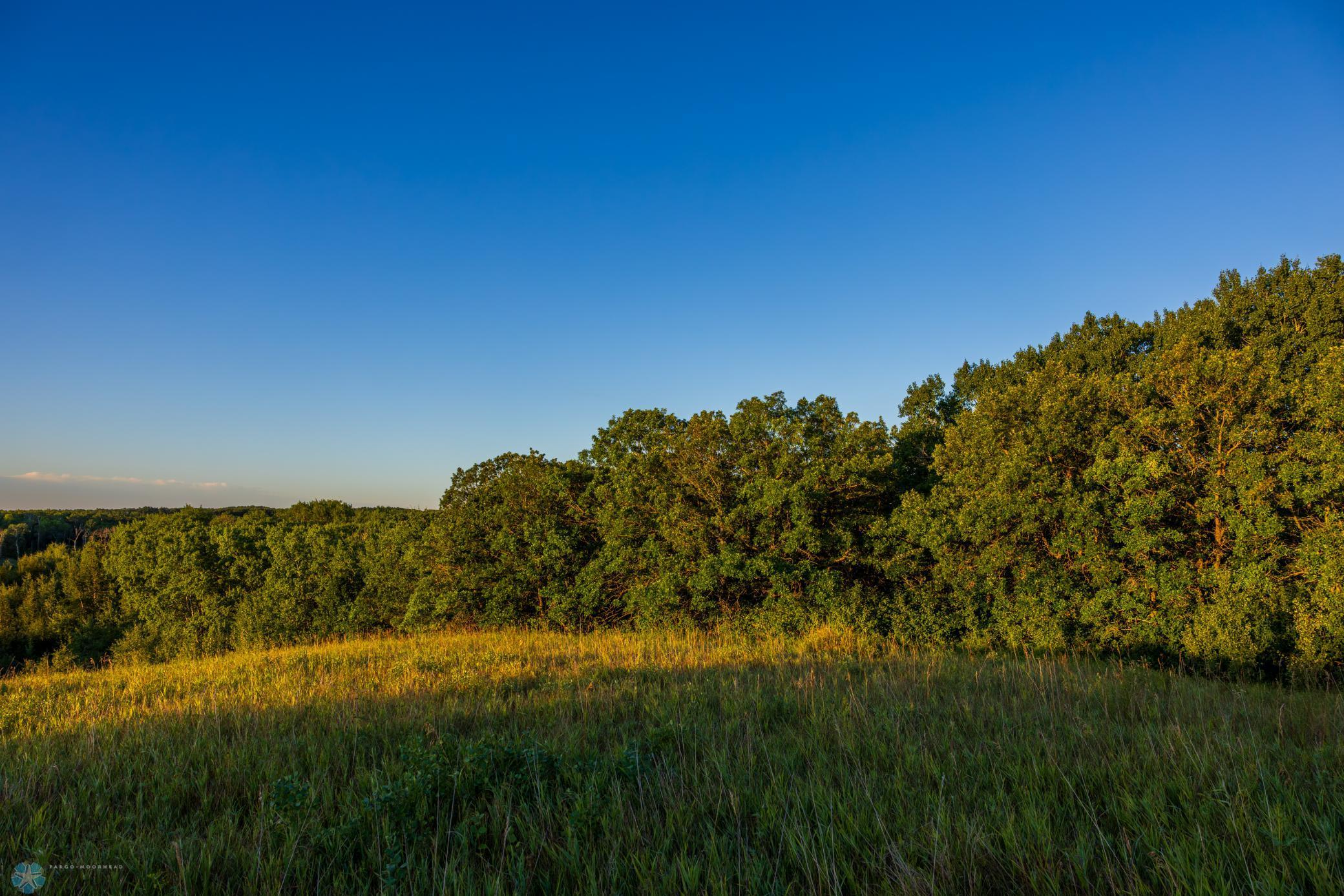 main property photo 62