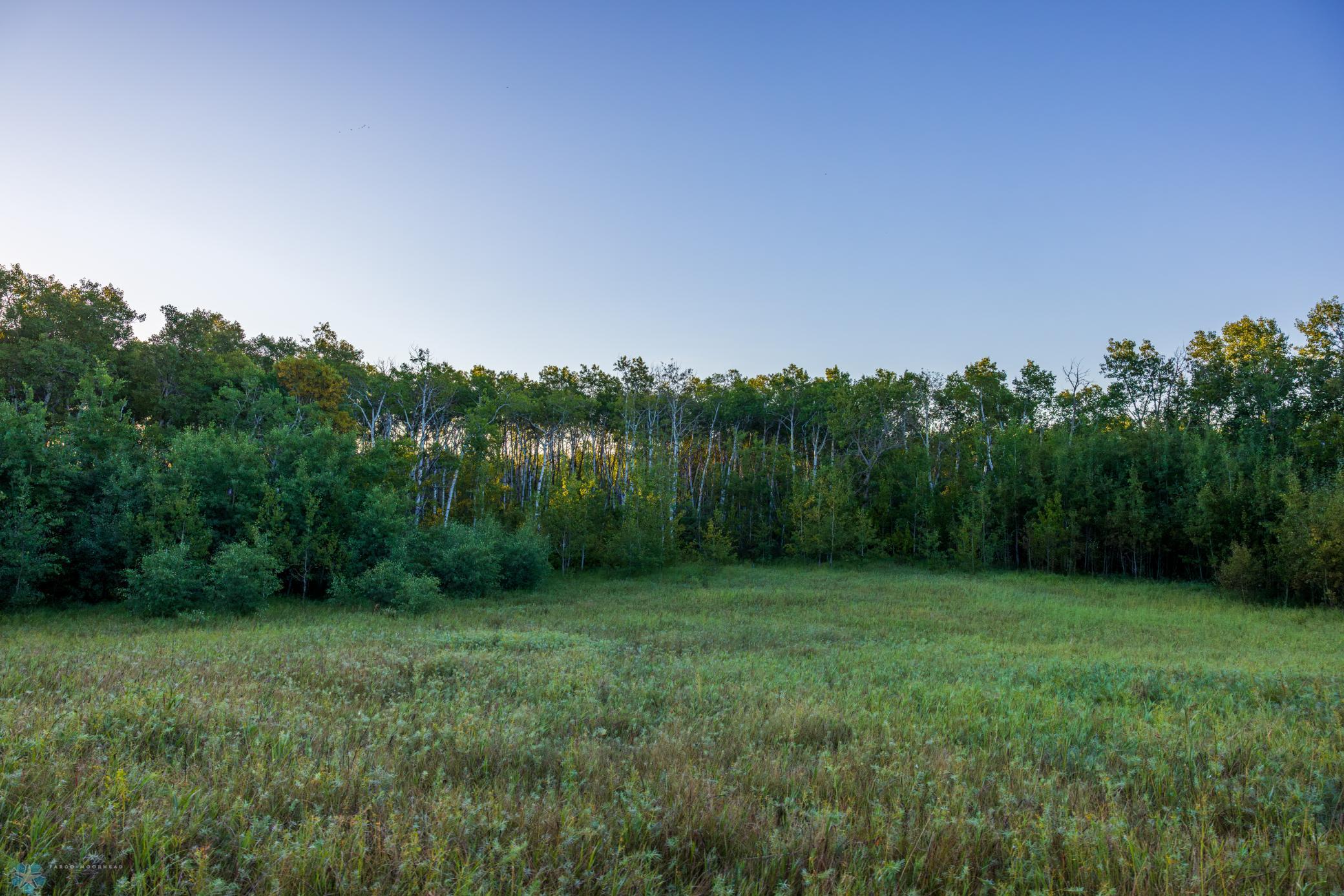 main property photo 65