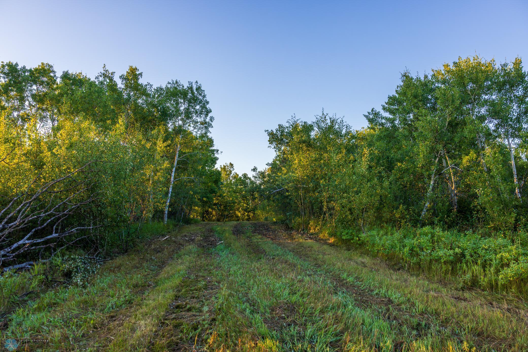 main property photo 66