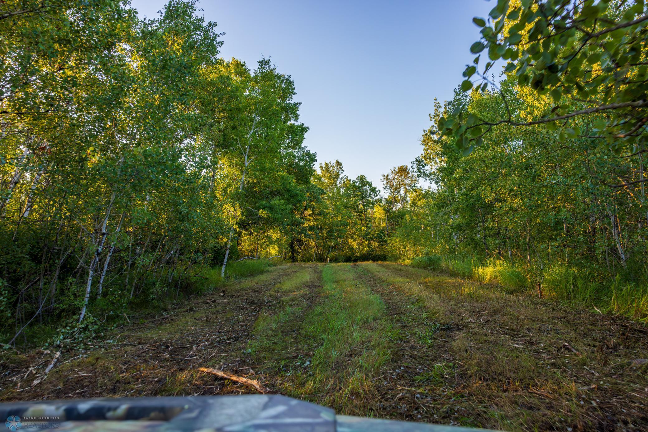 main property photo 67