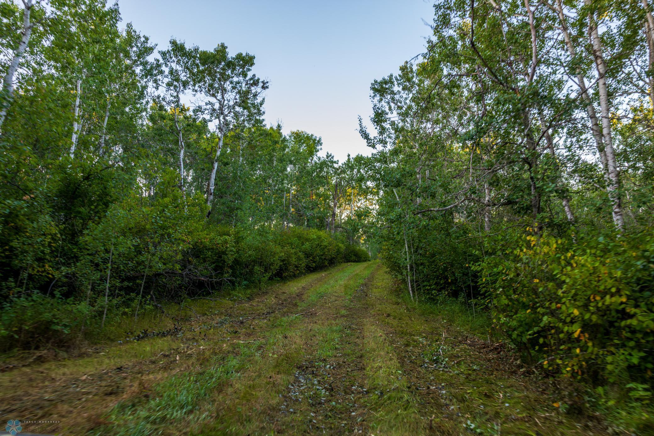 main property photo 68