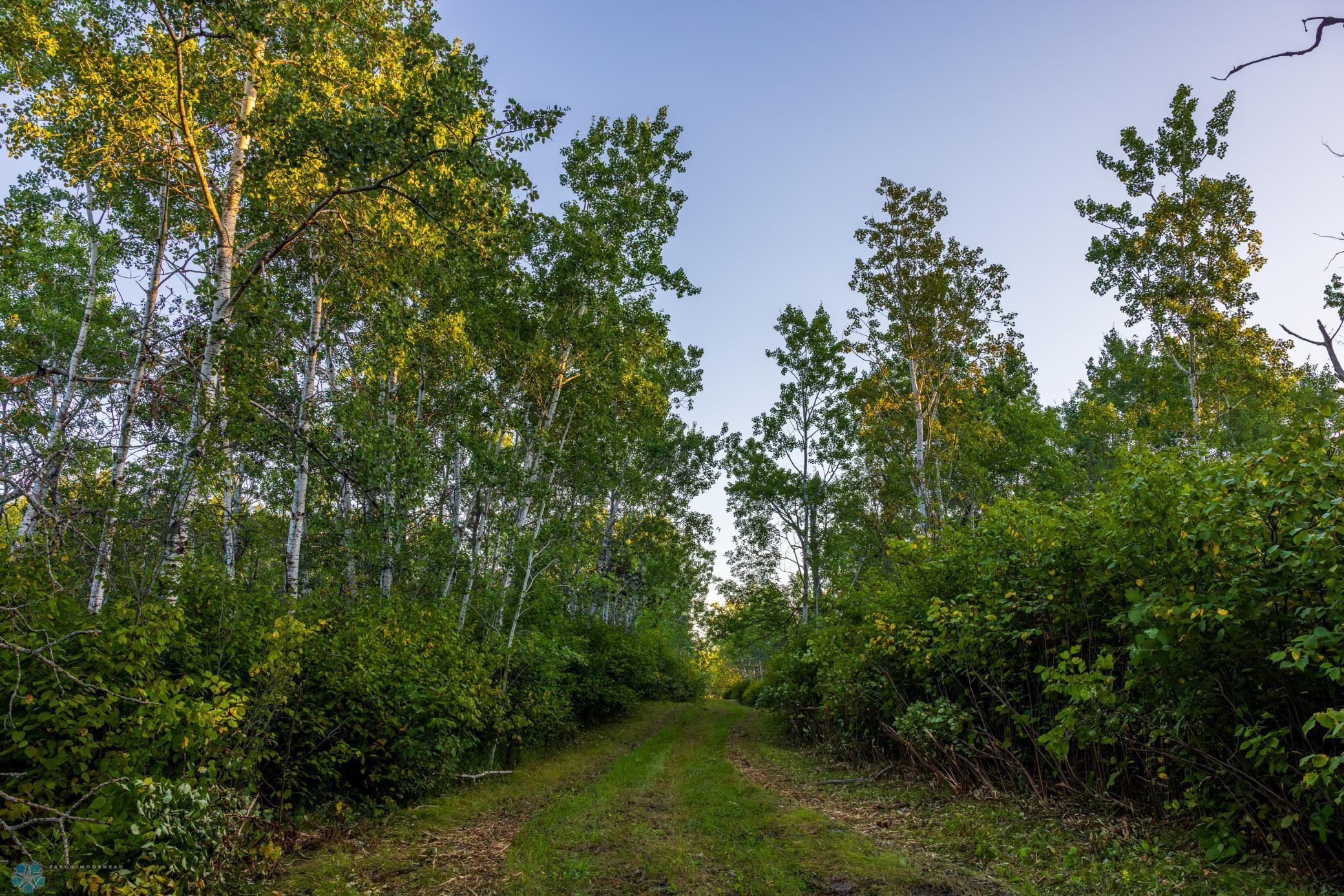 main property photo 70