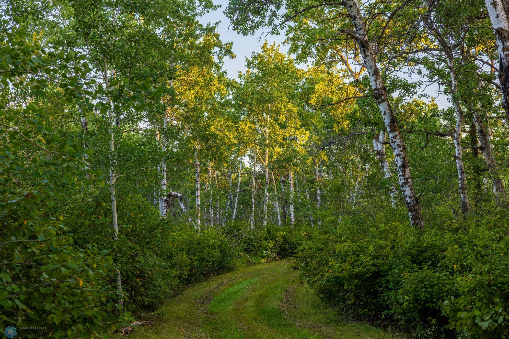 main property photo 72