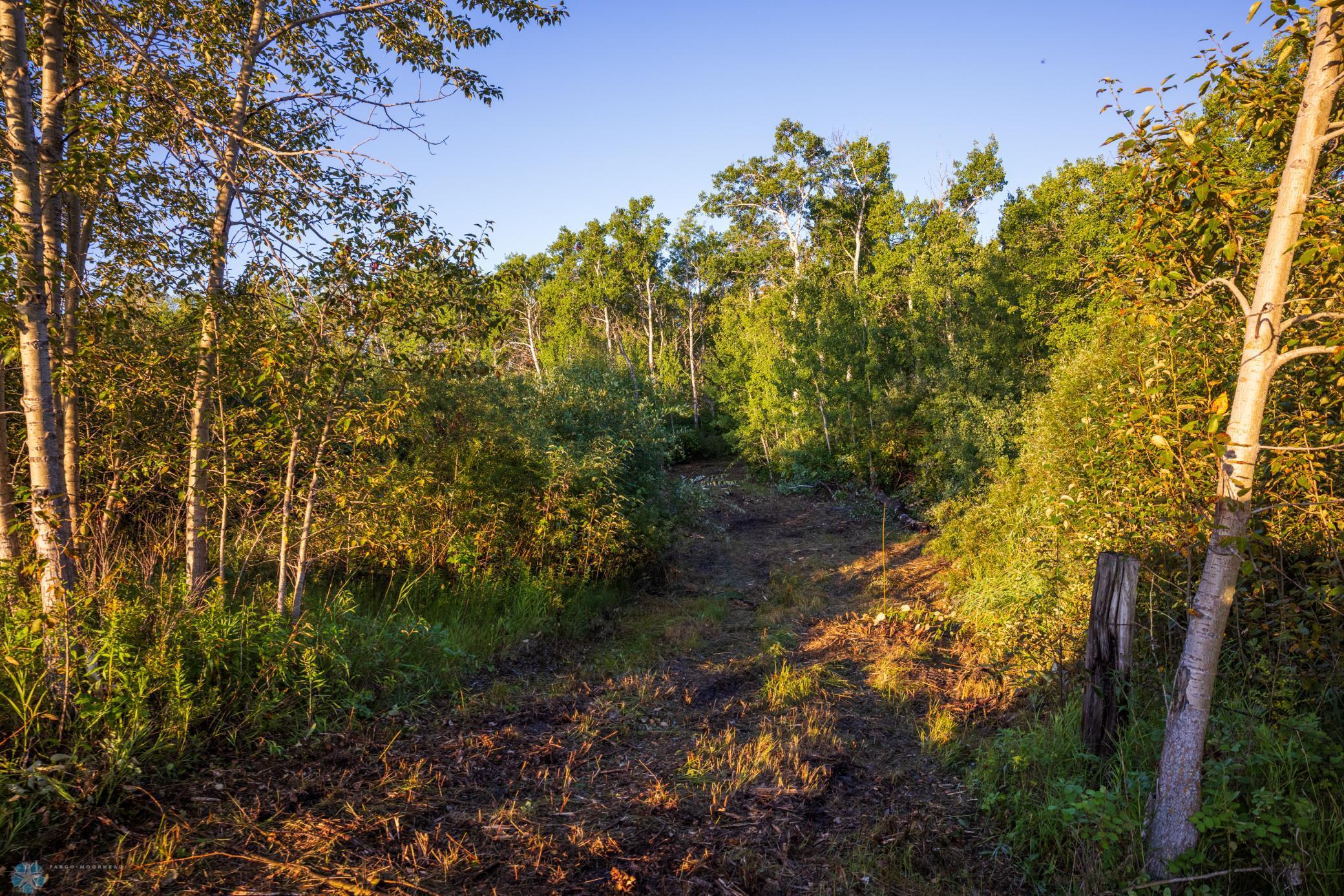 main property photo 78
