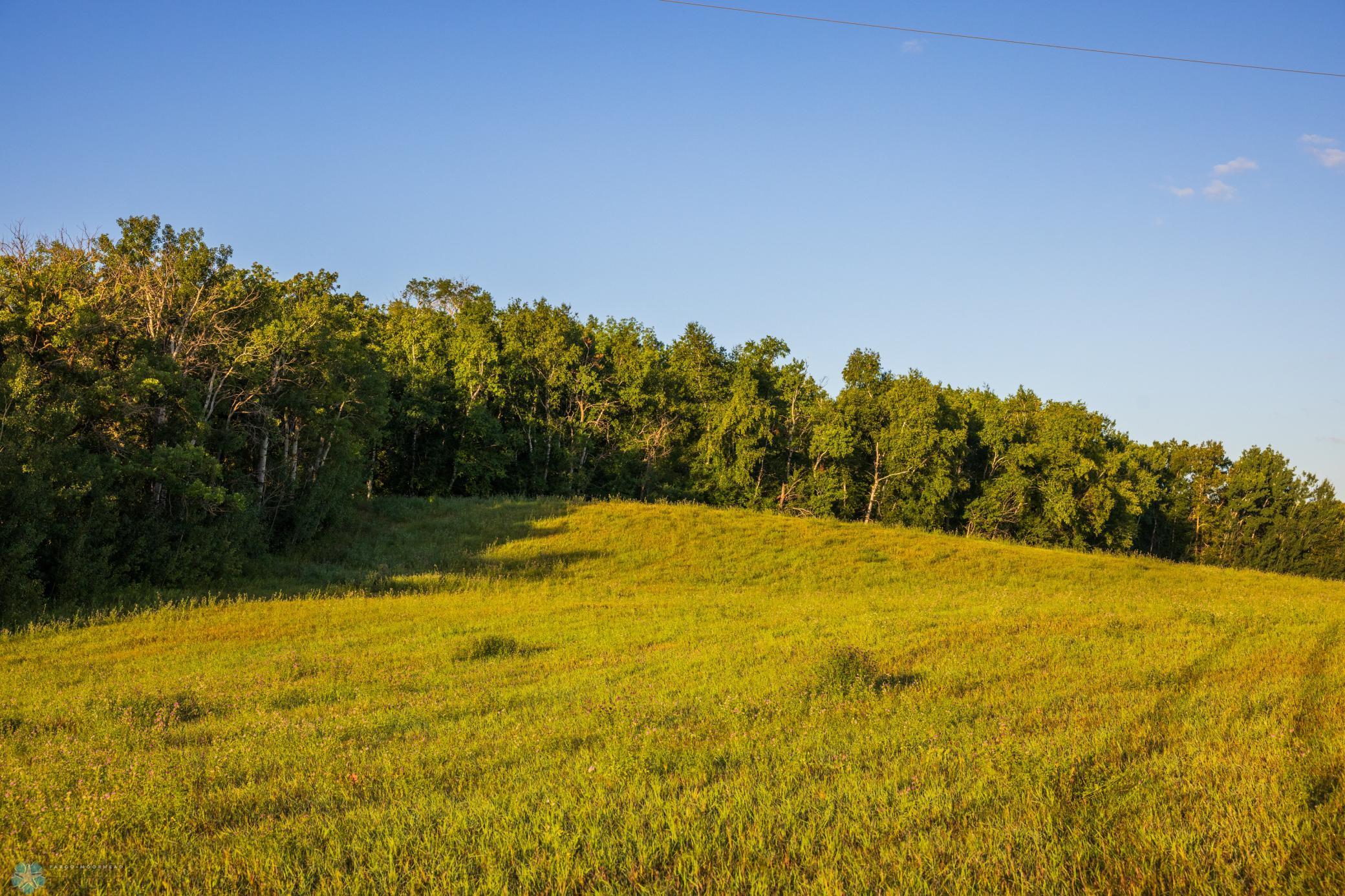 main property photo 83